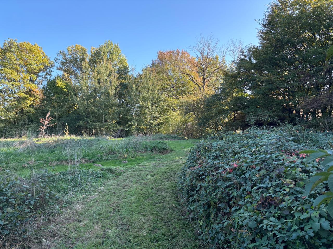 Natuurhuisje in La Chapelle Saint Sauveur