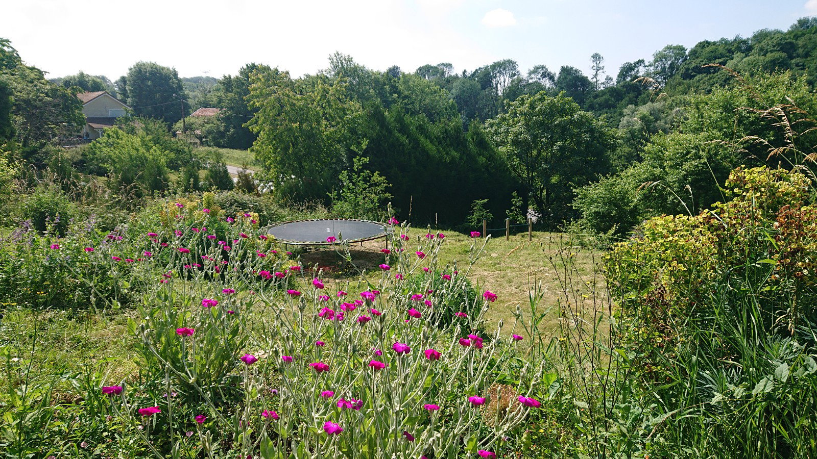 Natuurhuisje in Viel-Saint-Rémy