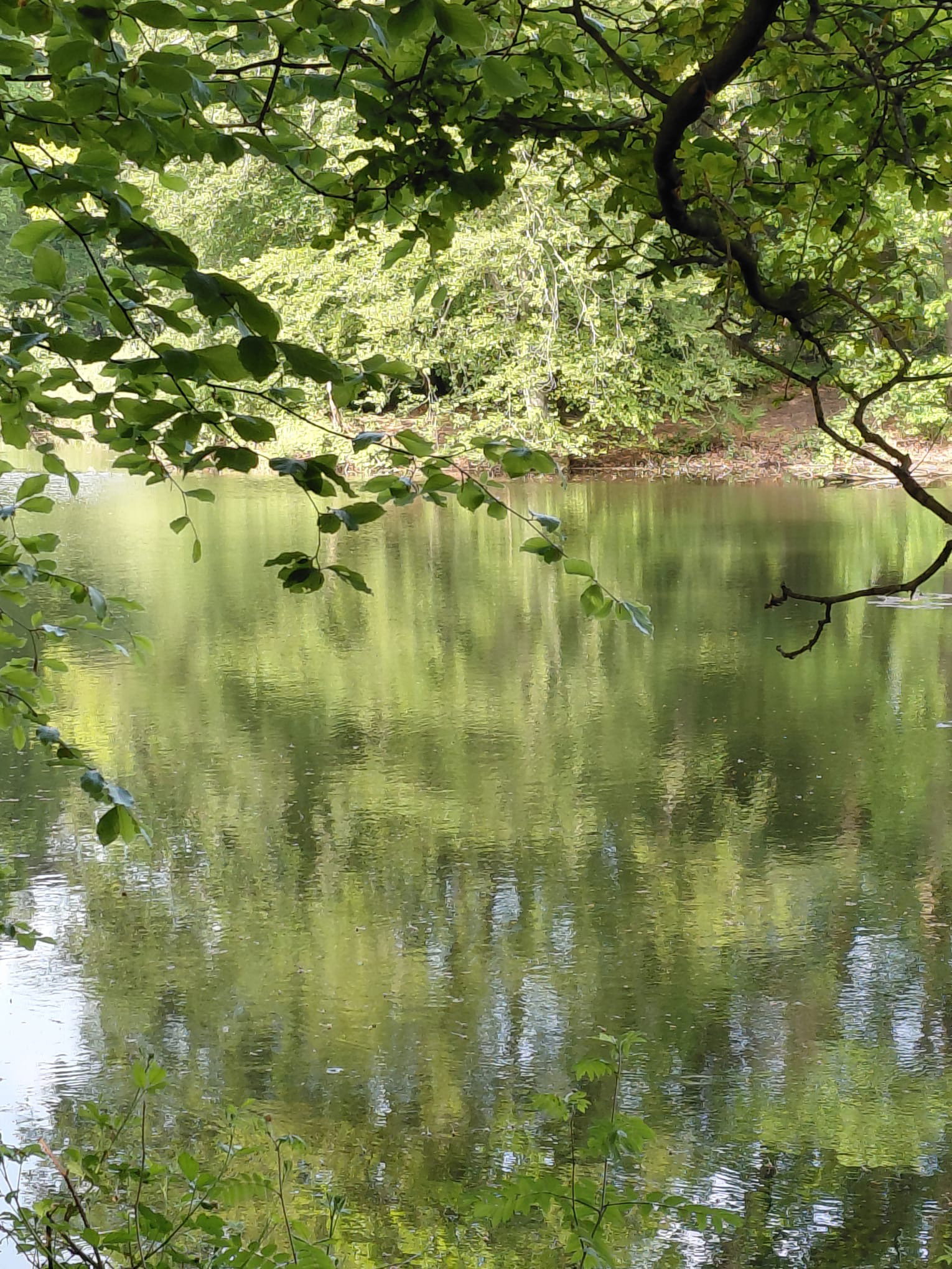 Naturhäuschen in Nutter