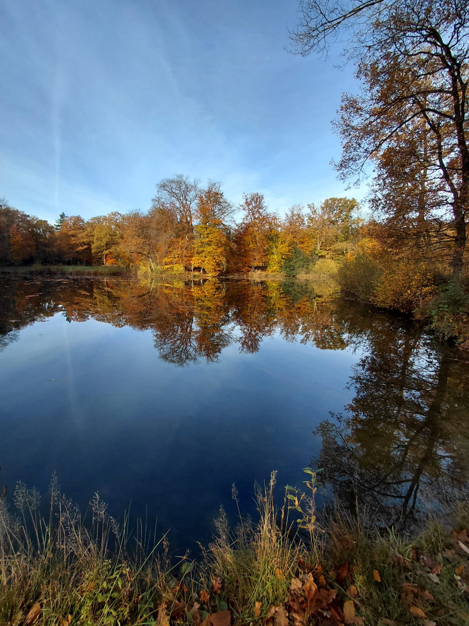 Naturhäuschen in Nutter