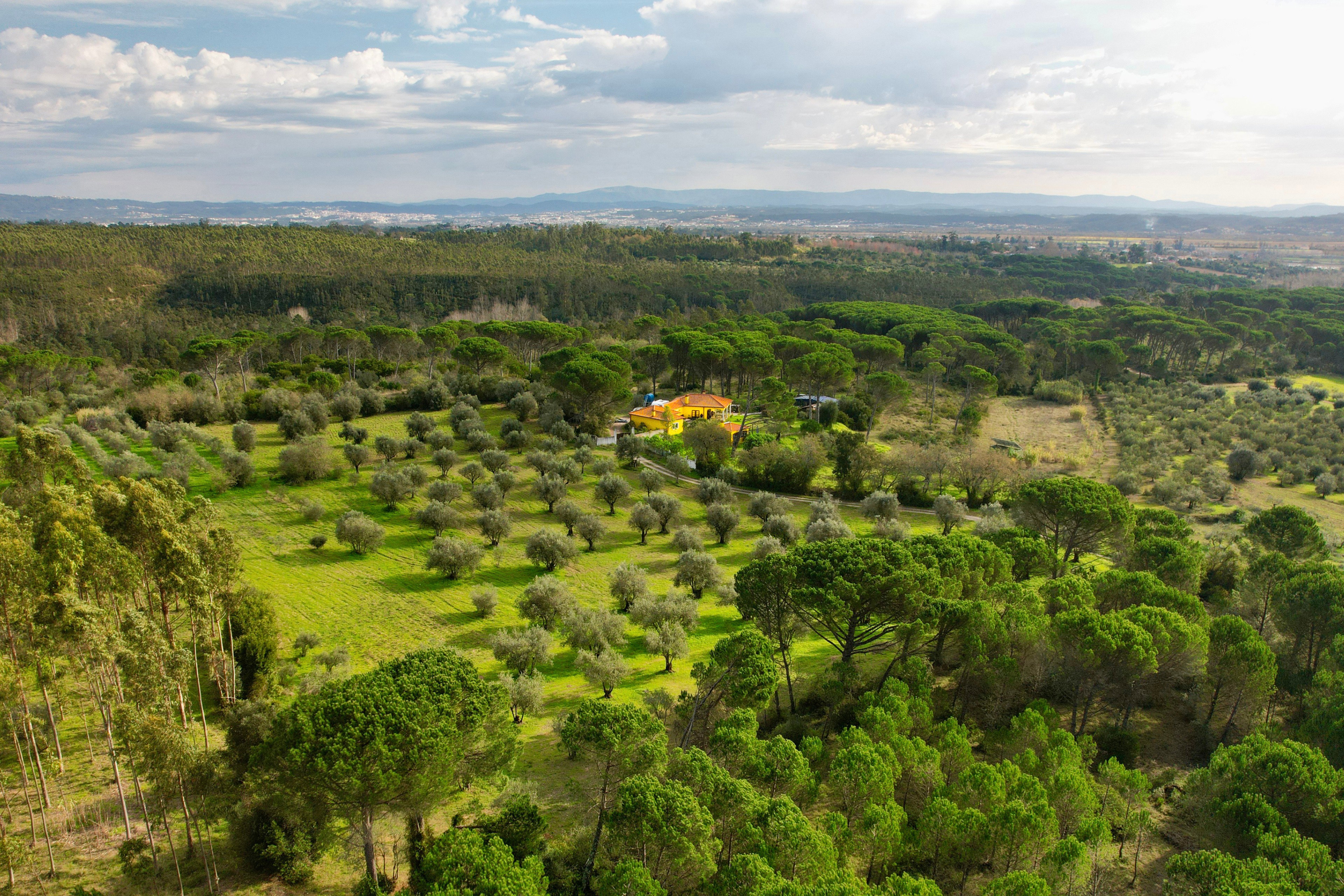 Maison nature à Tentúgal