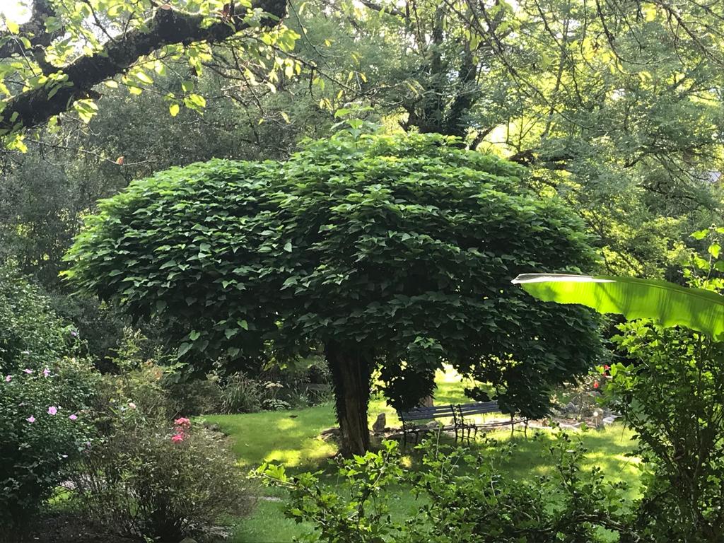 Natuurhuisje in Laborde