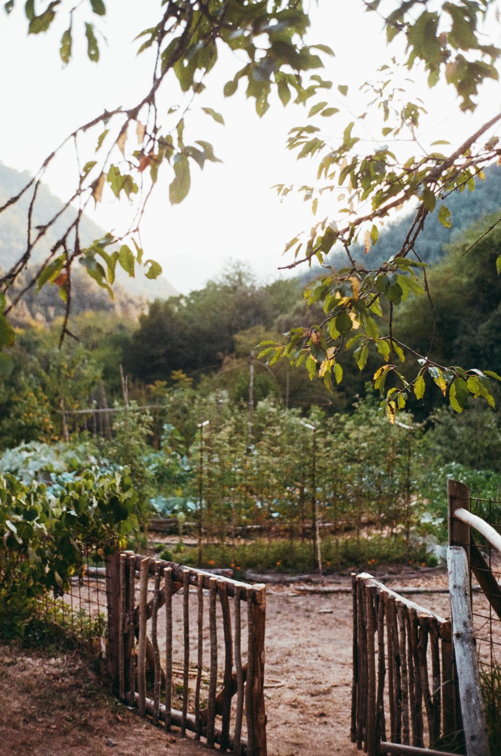 Casa nella natura a Castelvittorio Pigna