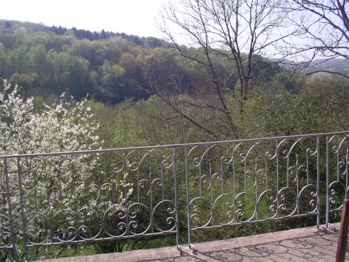 - image: 11