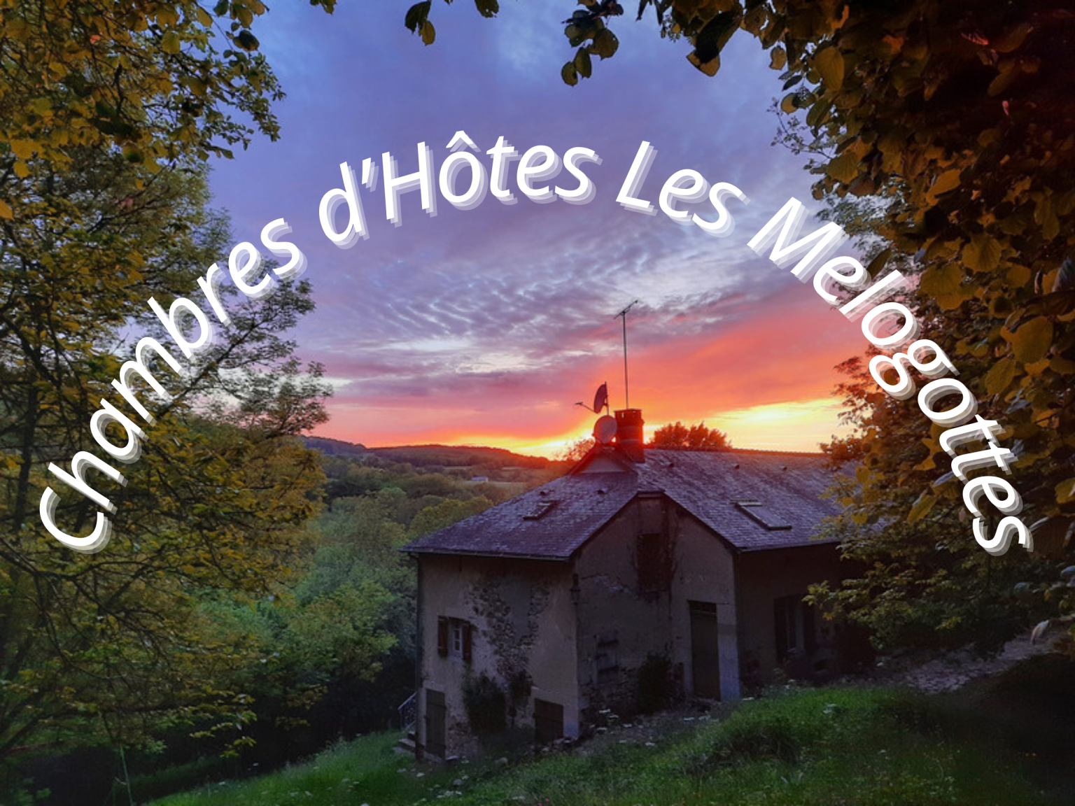 - image: 15