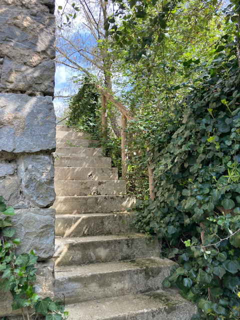 - image: 13