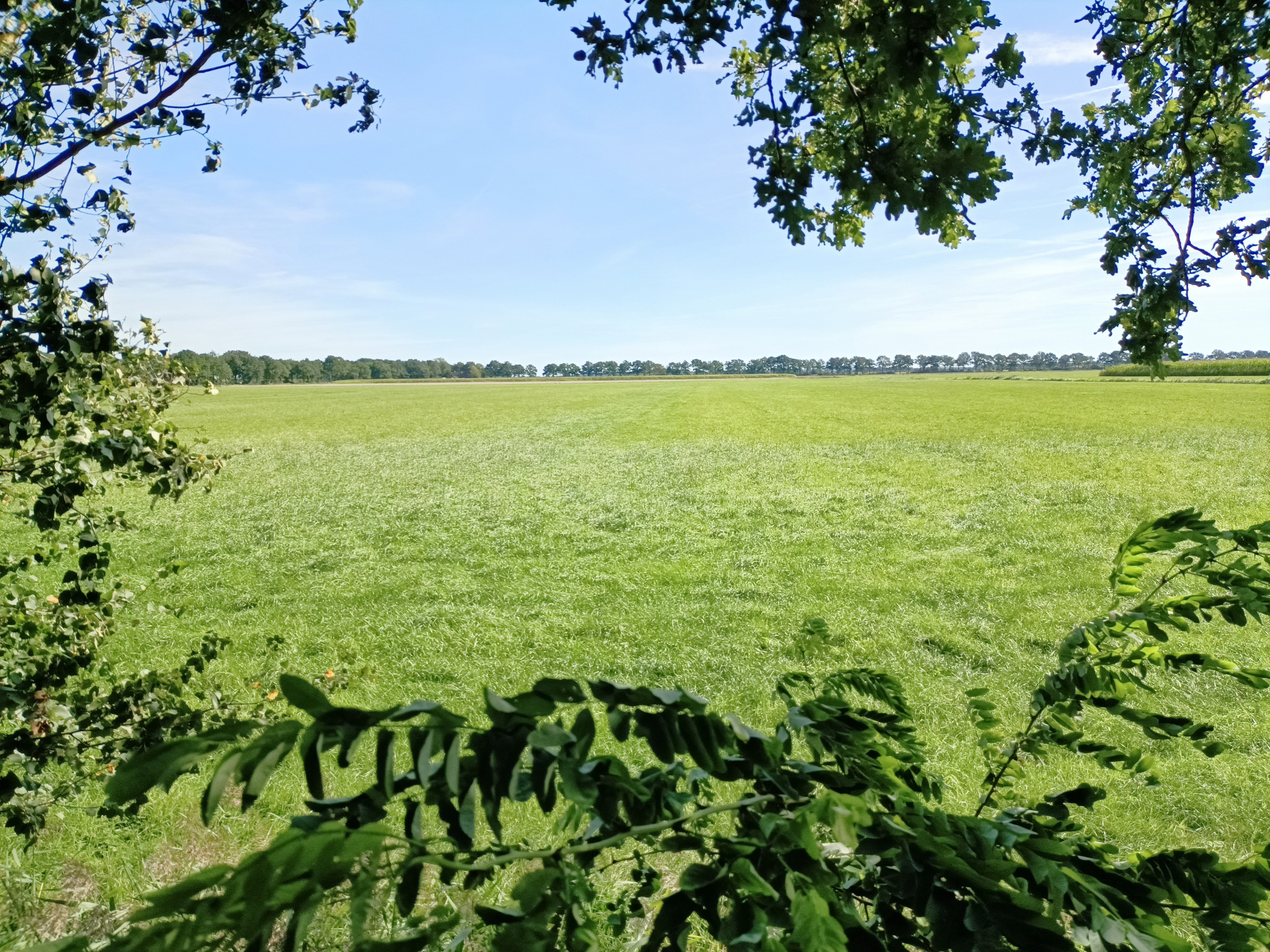 Naturhäuschen in Oosterwolde
