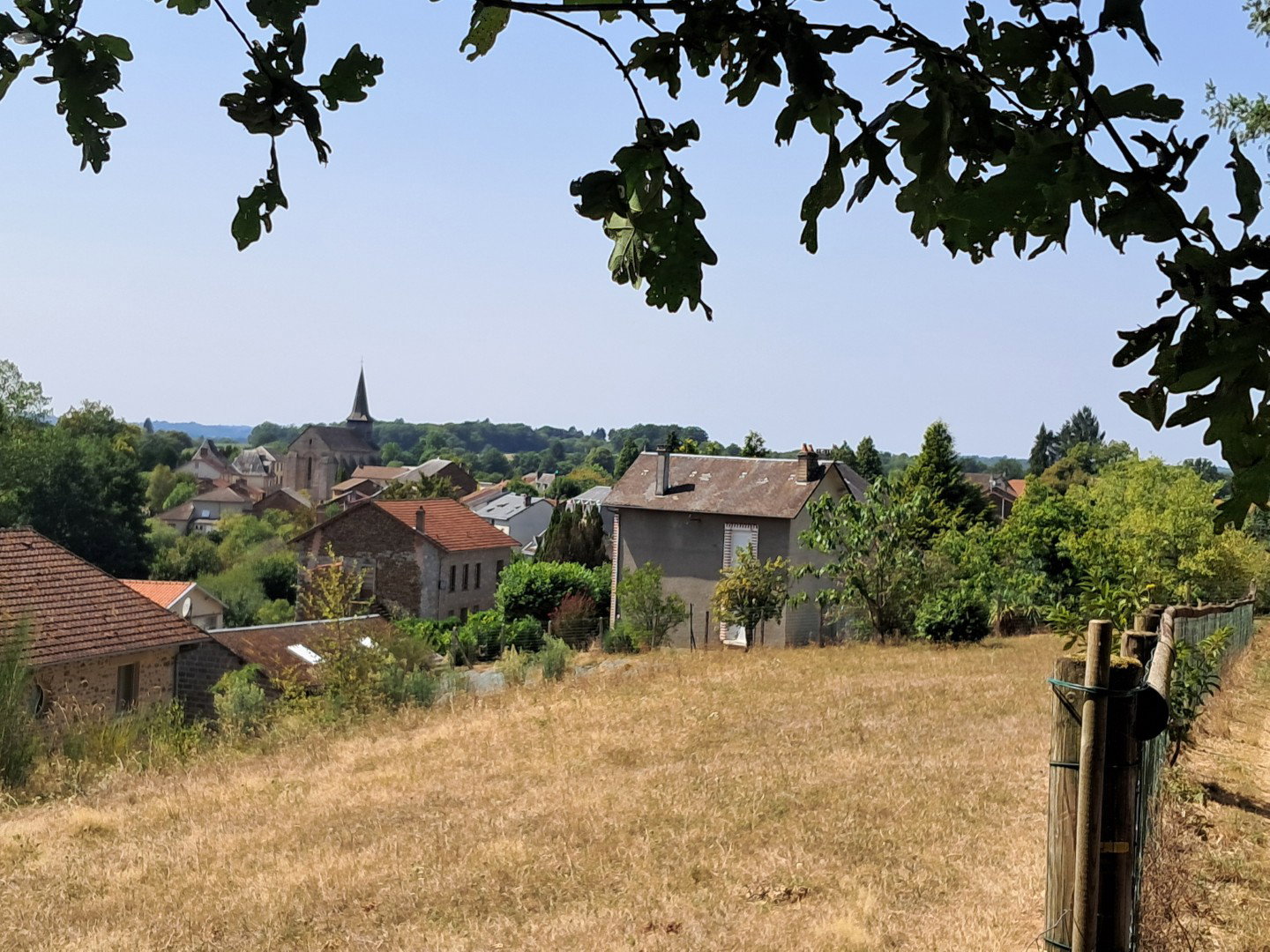 - image: 23