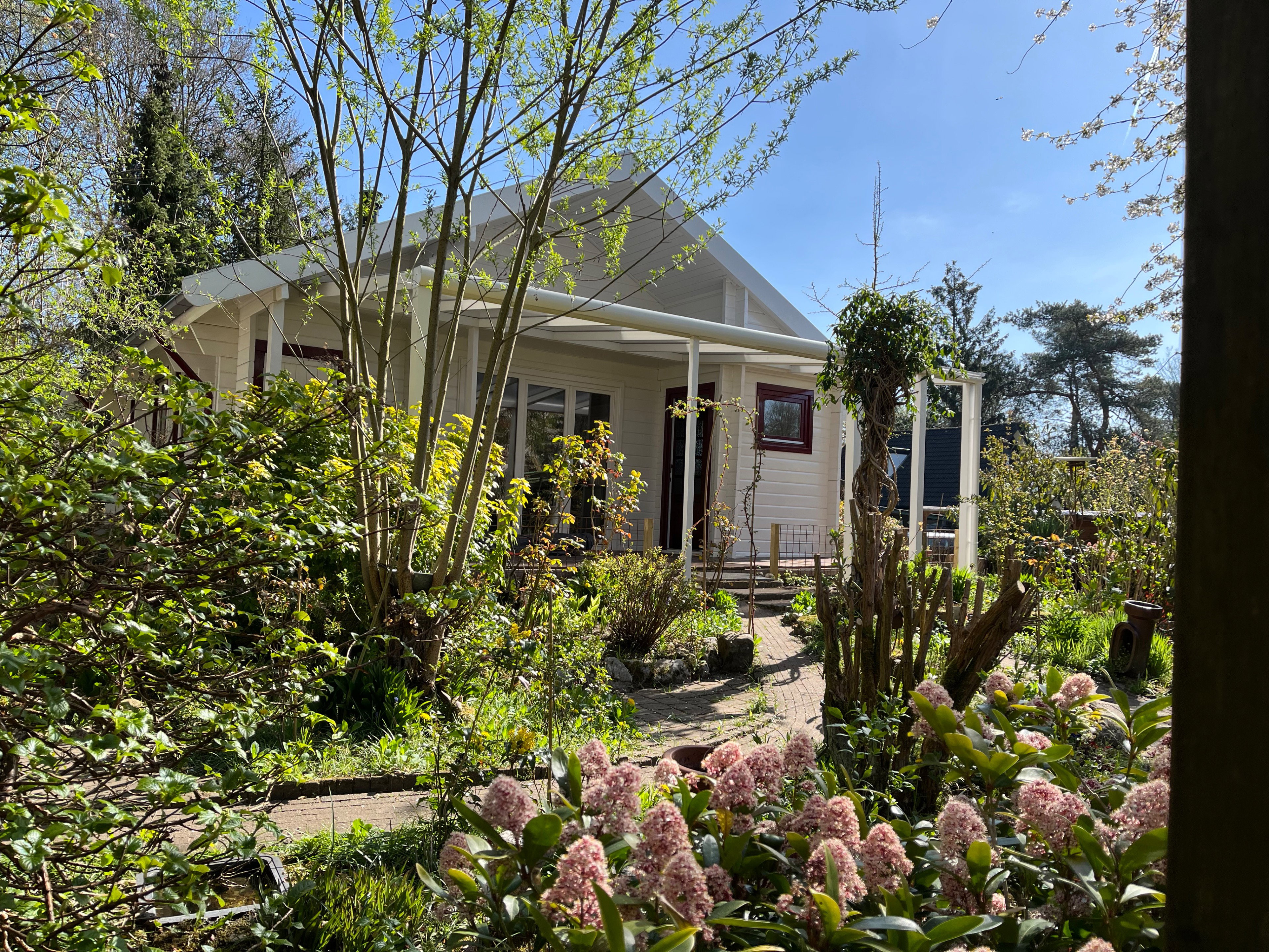 Nature house in Winterswijk