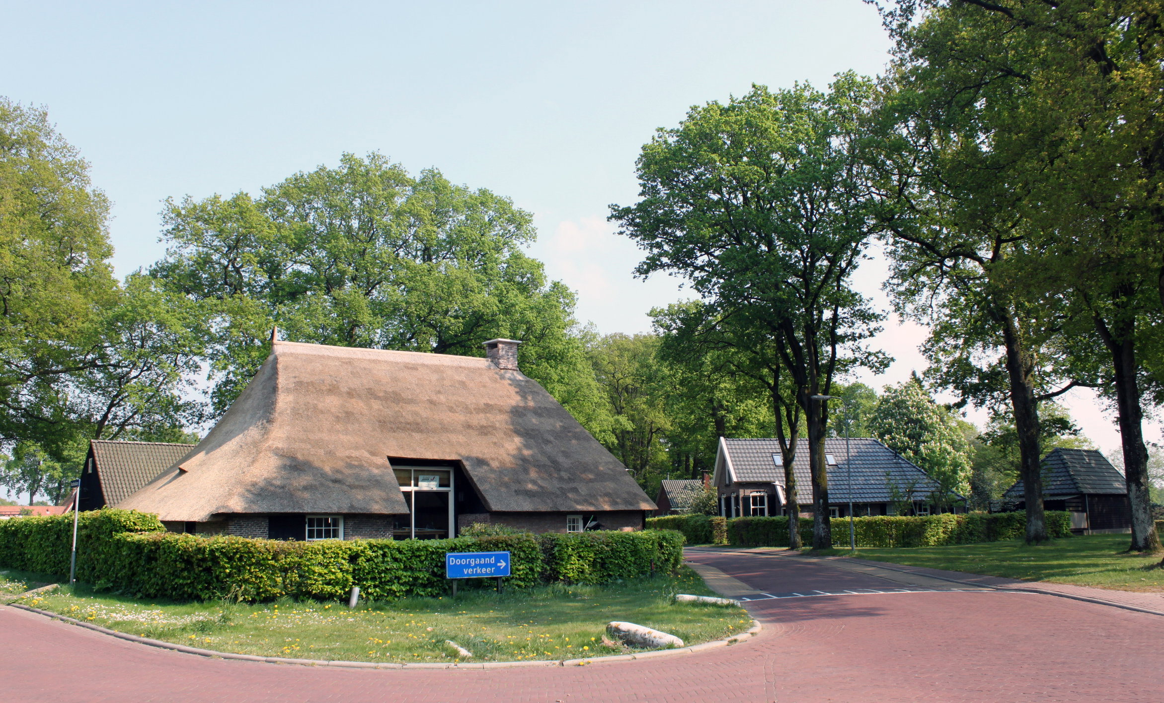 Maison nature à Havelte