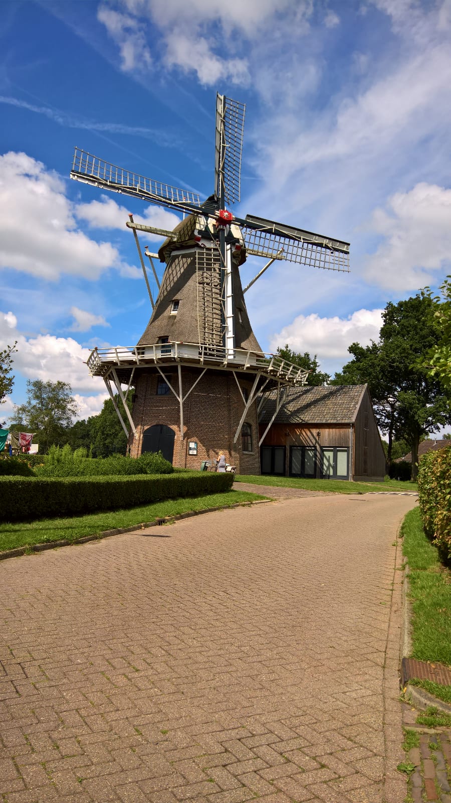 - image: 20