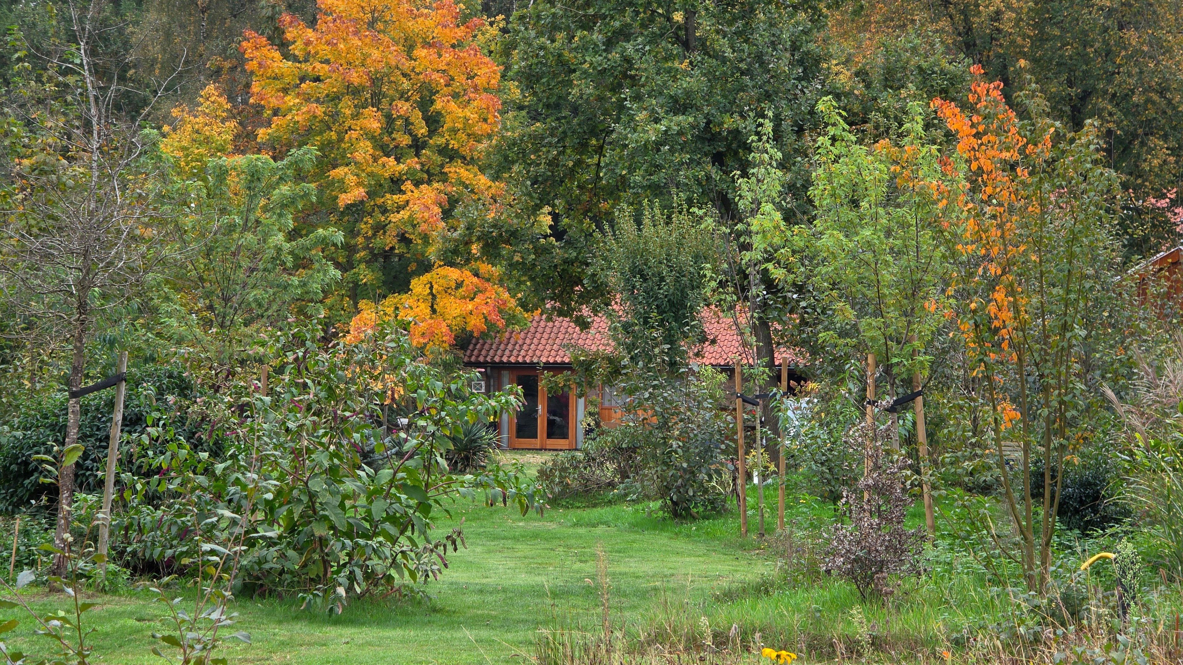 Natuurhuisje in Vorden