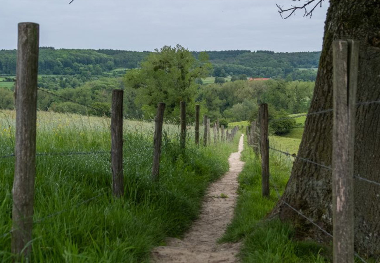 Natuurhuisje in Epen