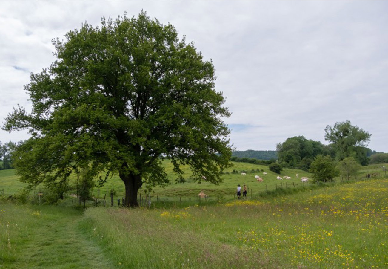 Natuurhuisje in Epen