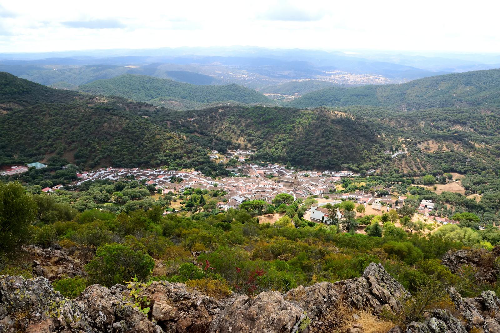- image: 11