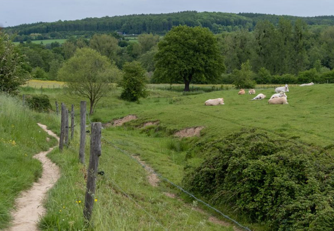 Natuurhuisje in Epen