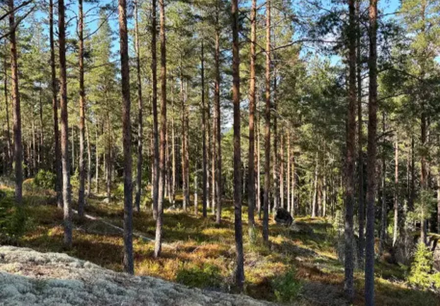 Casa nella natura a Tranås