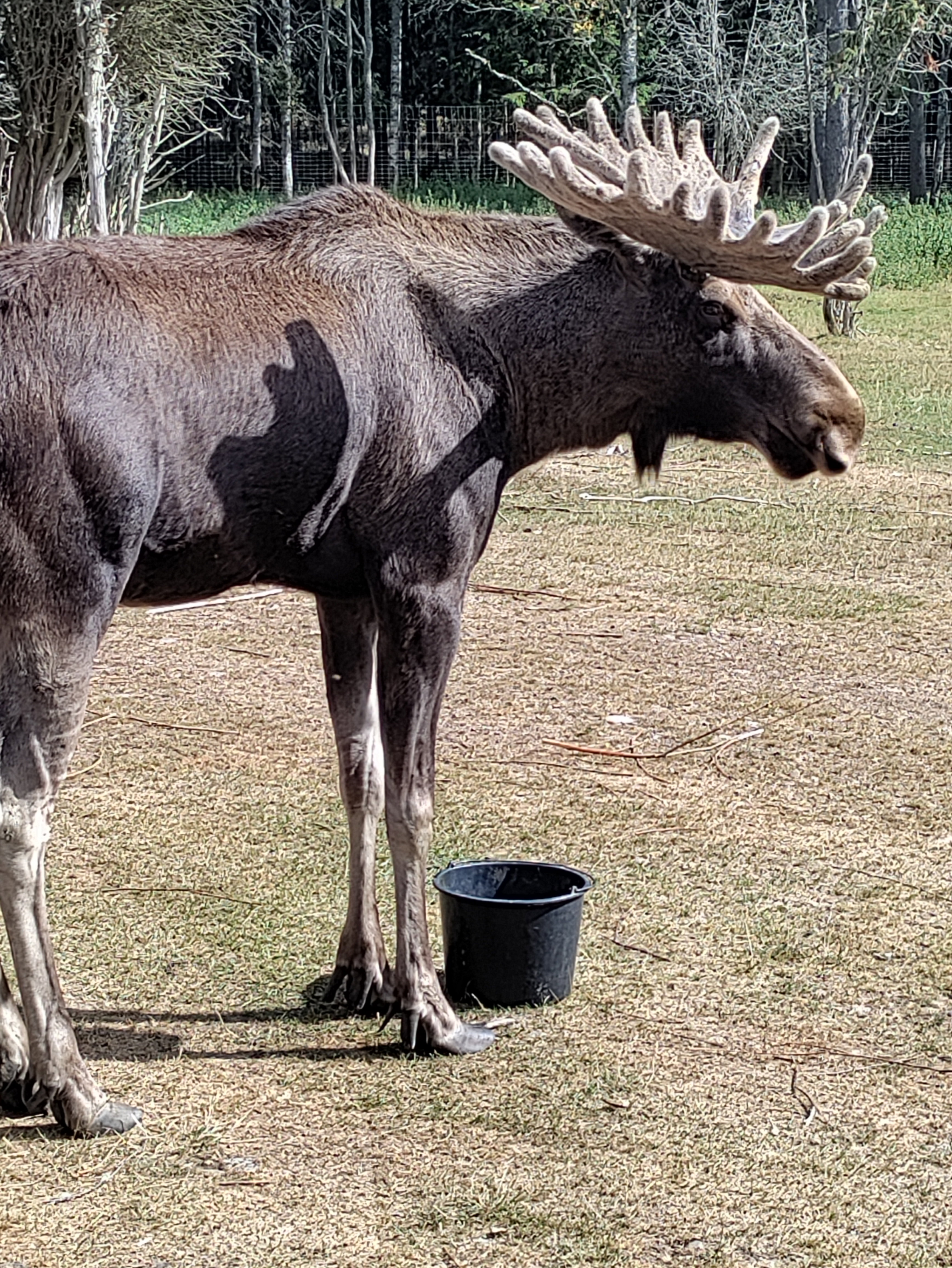 Casa nella natura a Tranås