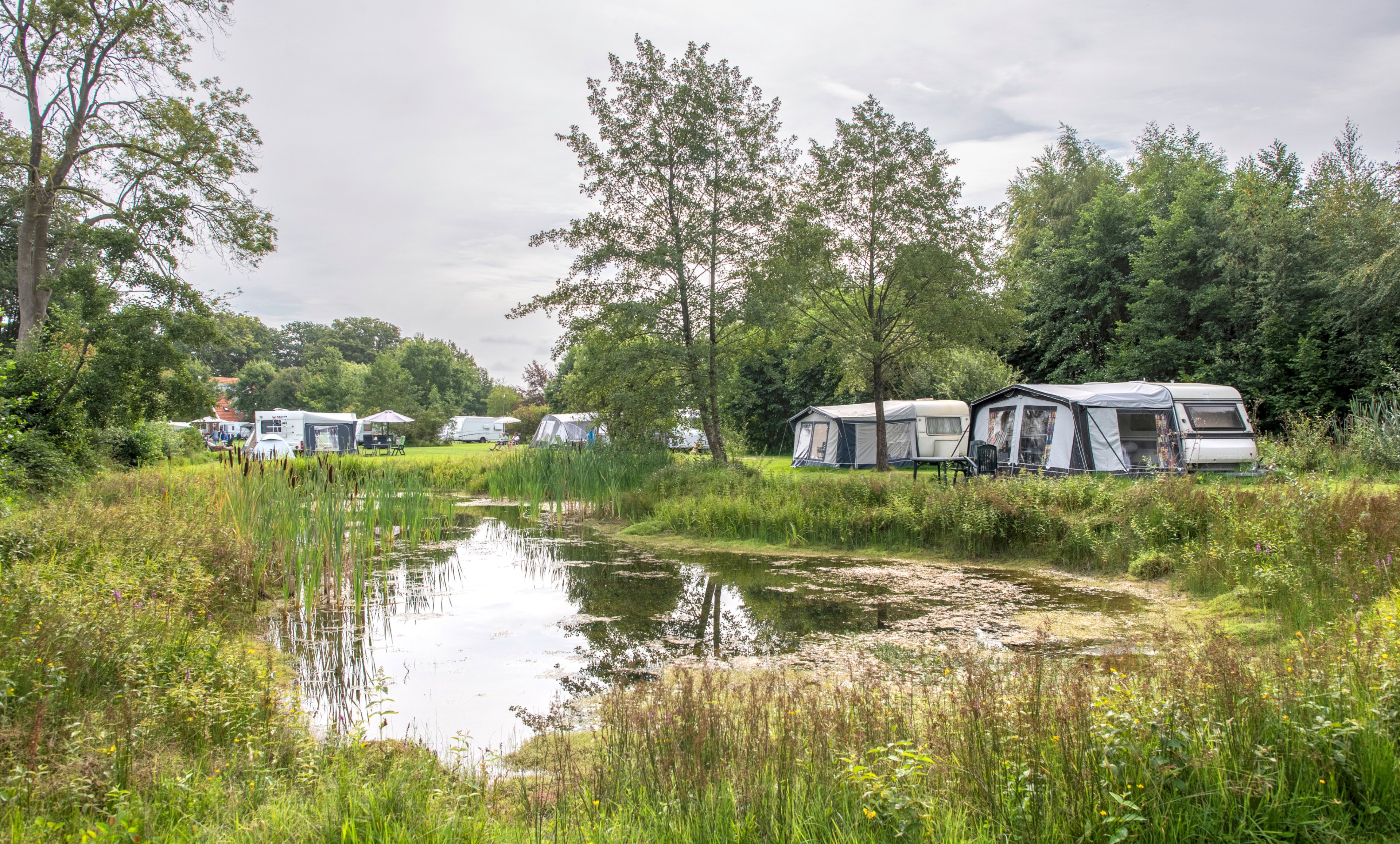 Natuurhuisje in Denekamp