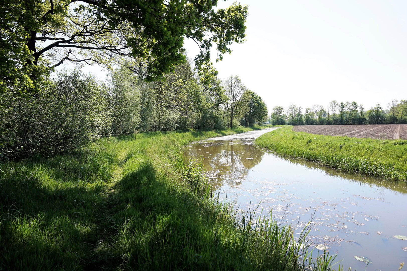 Natuurhuisje in Denekamp
