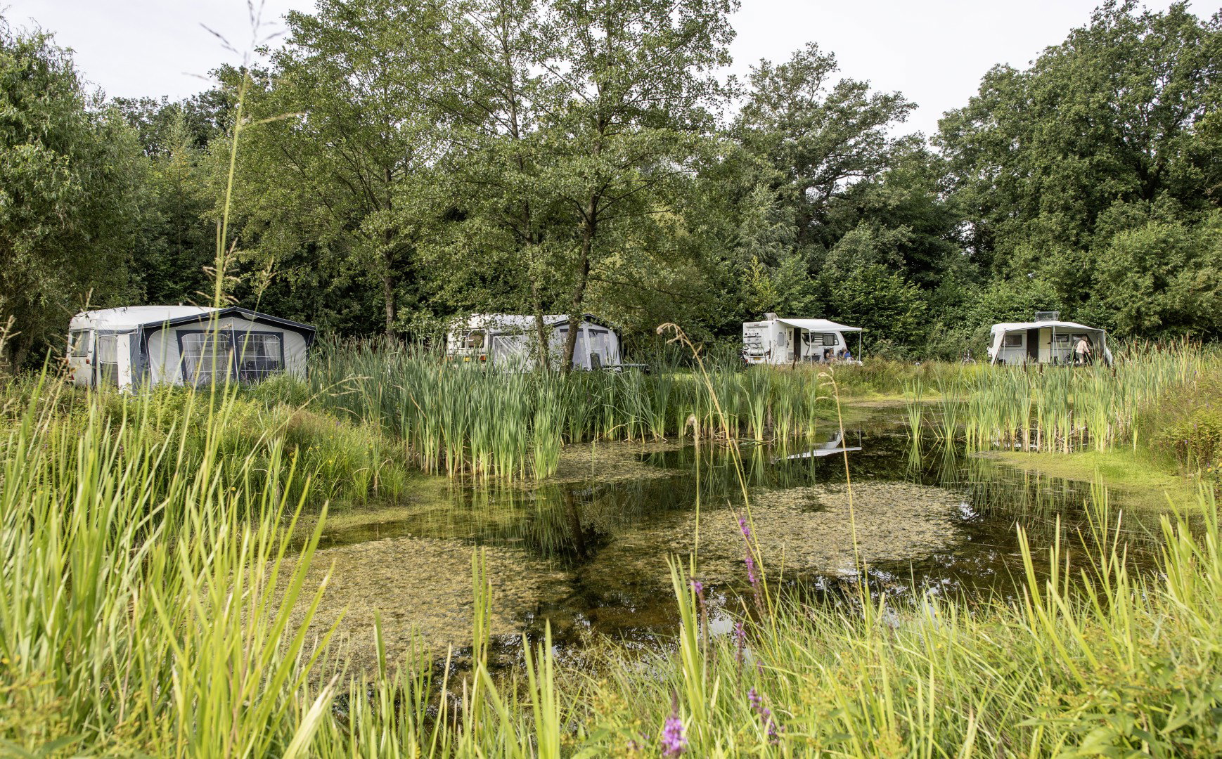 Natuurhuisje in Denekamp
