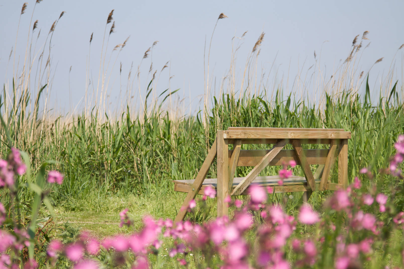 Natuurhuisje in Boornzwaag
