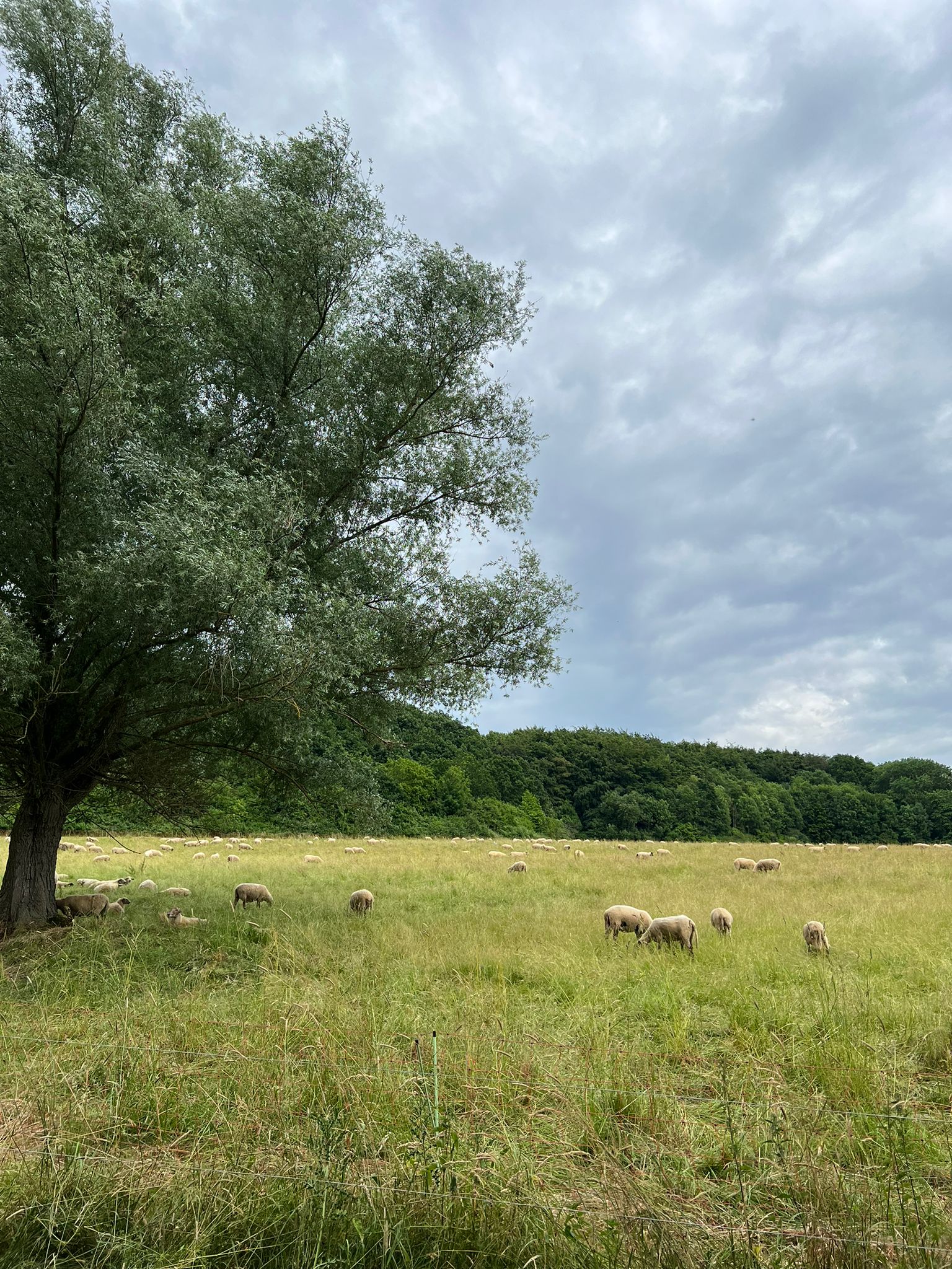 Natuurhuisje in Beutenaken