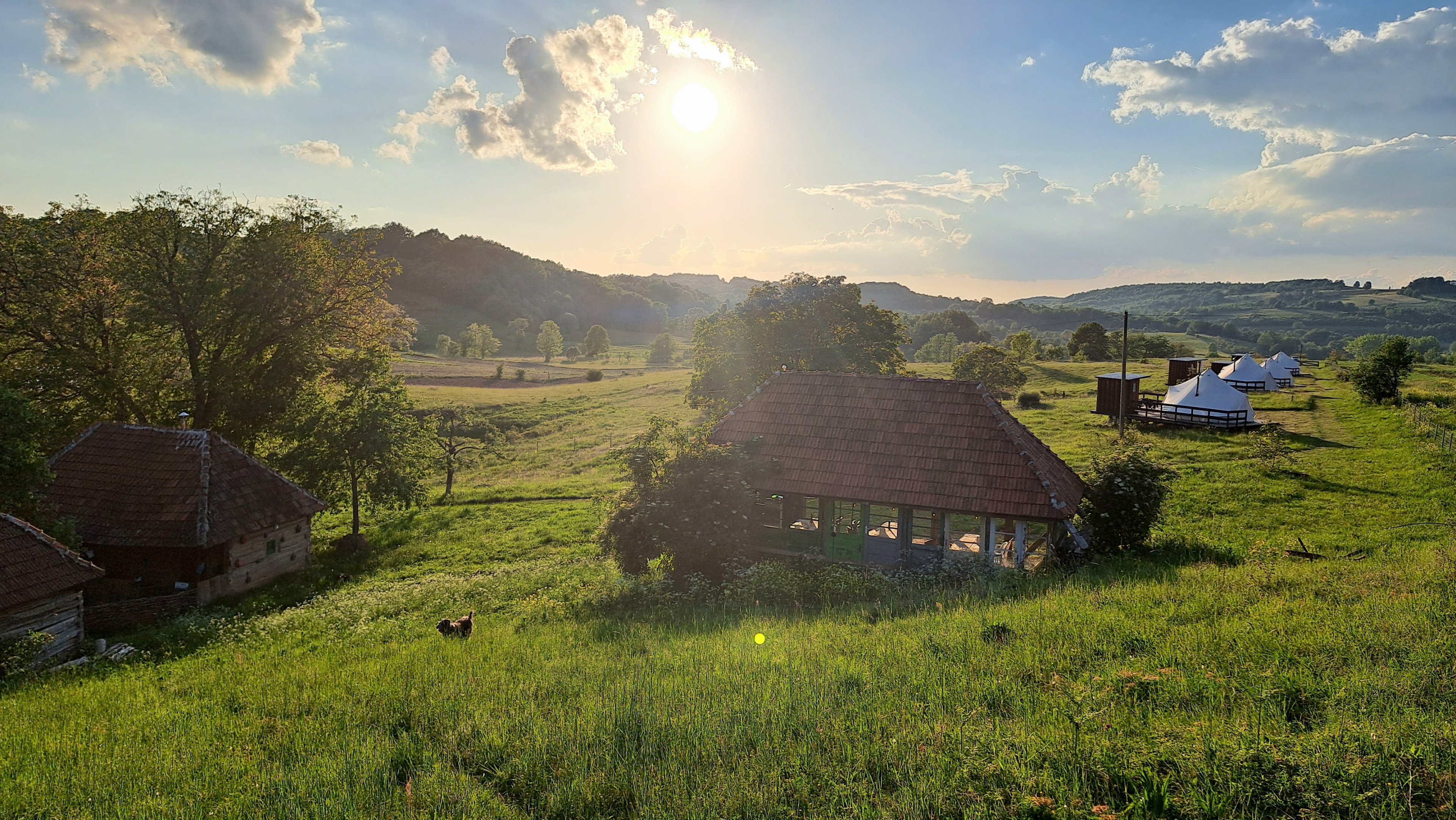 Nature house in Zece Hotare