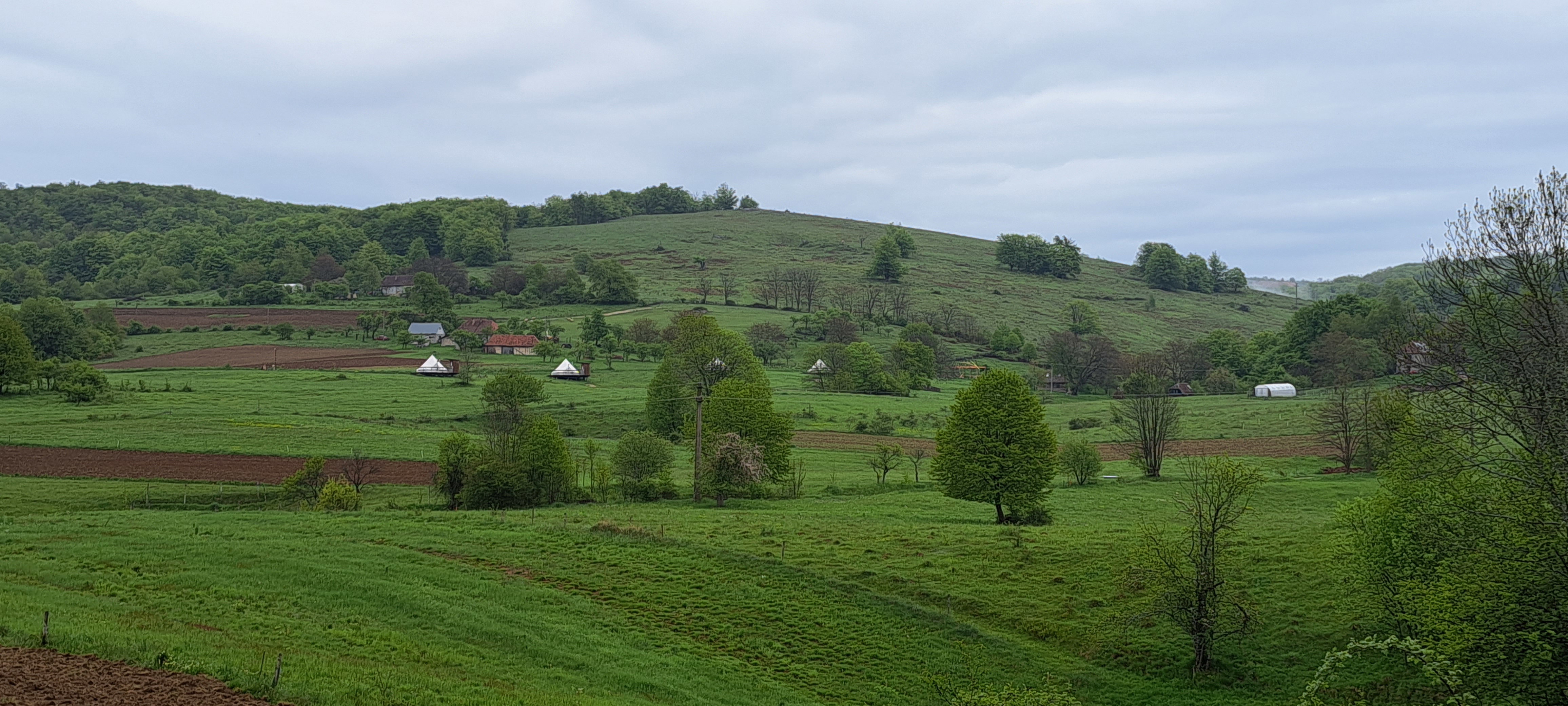 Nature house in Zece Hotare