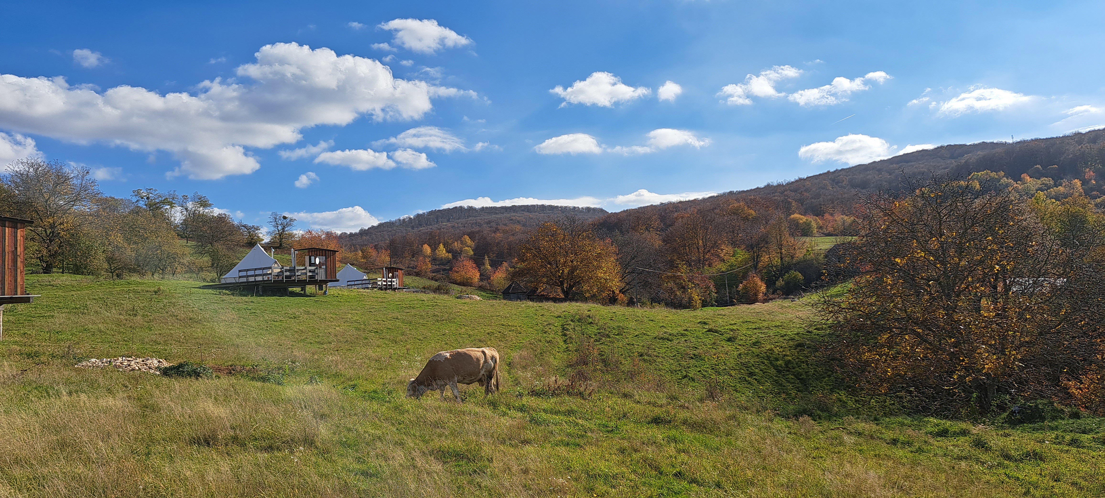 Nature house in Zece Hotare