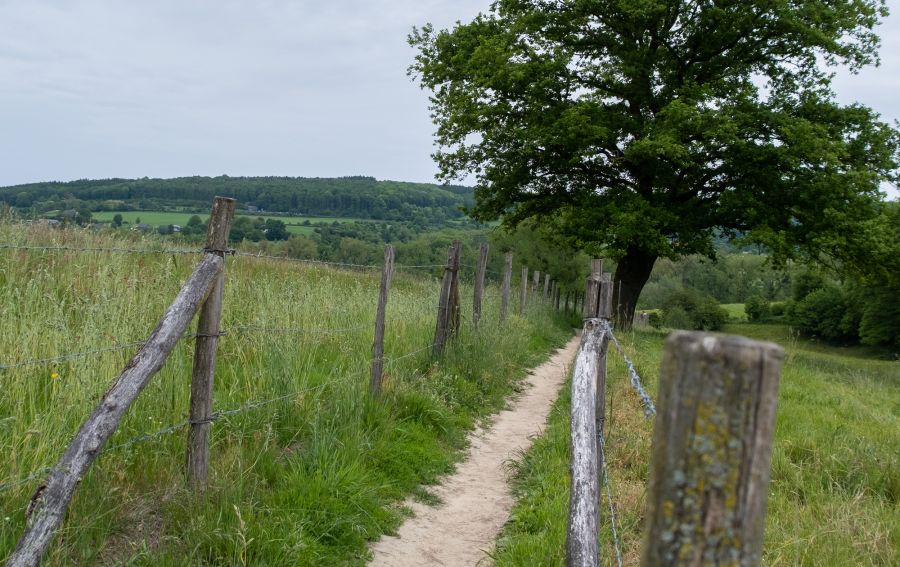 Natuurhuisje in Epen
