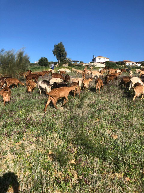 - image: 18