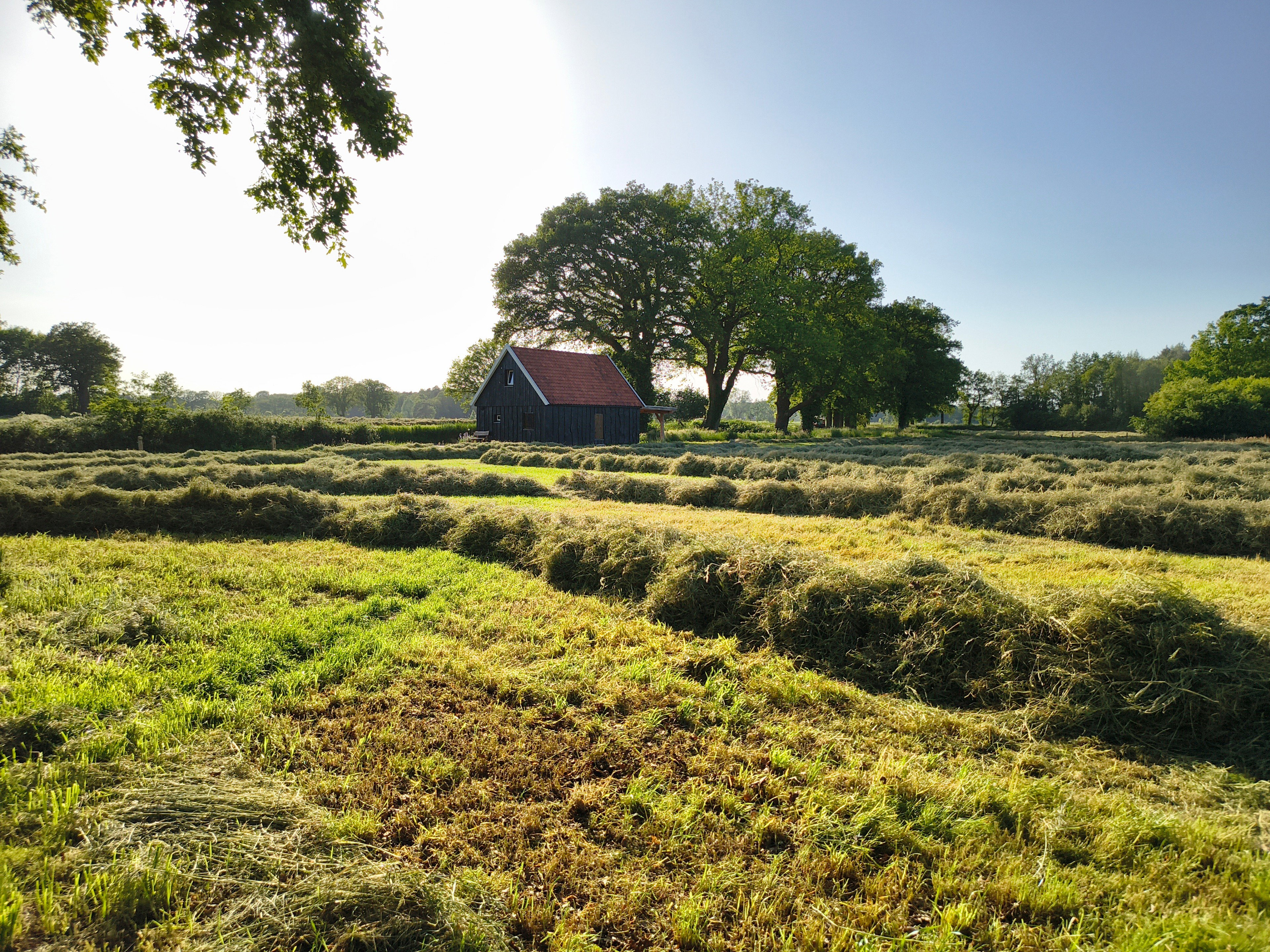 Nature house in de Lutte