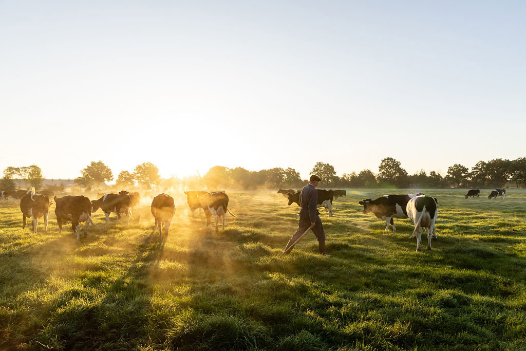Natuurhuisje in Lievelde