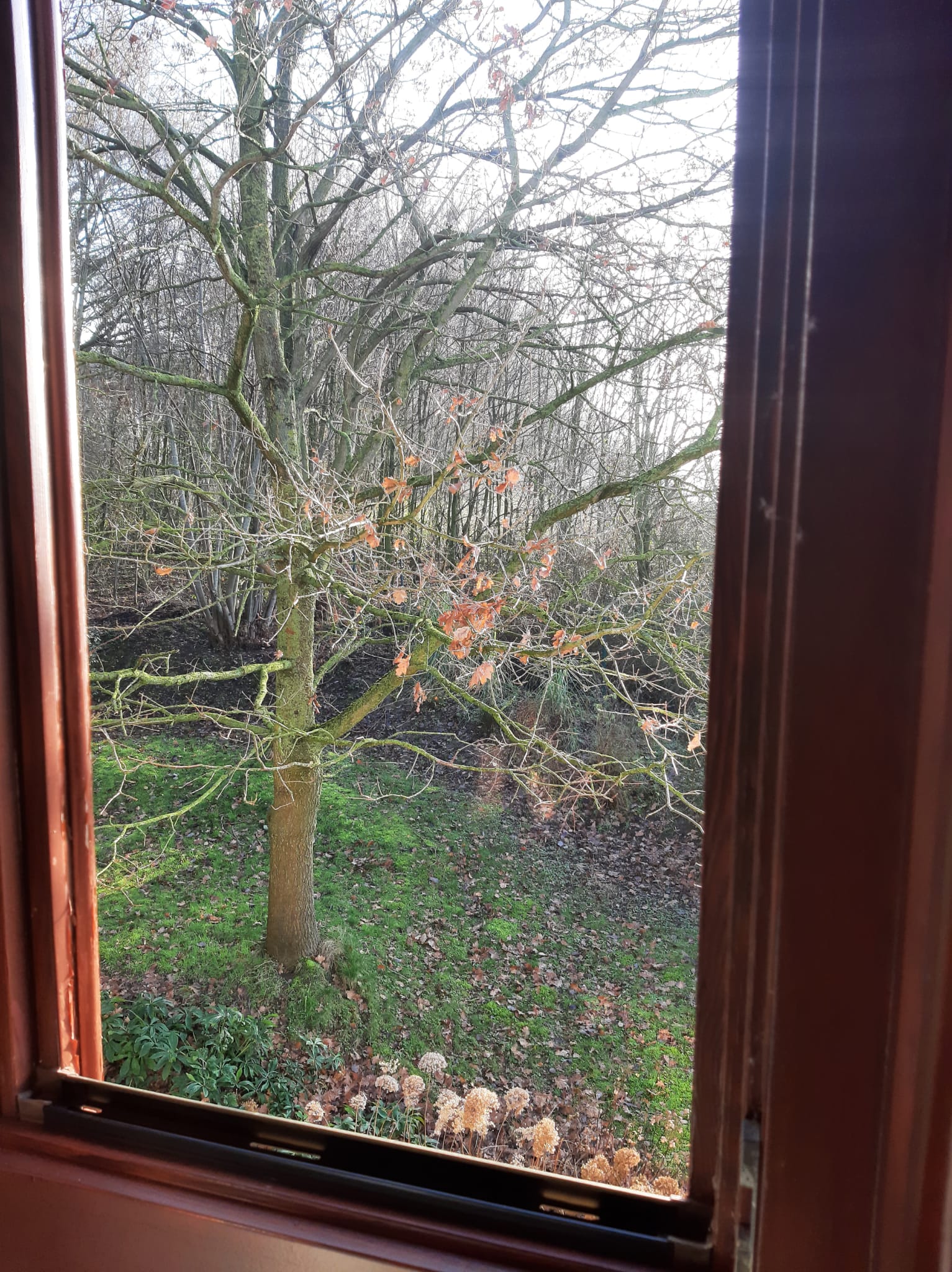 Natuurhuisje in Zwevegem (Moen)