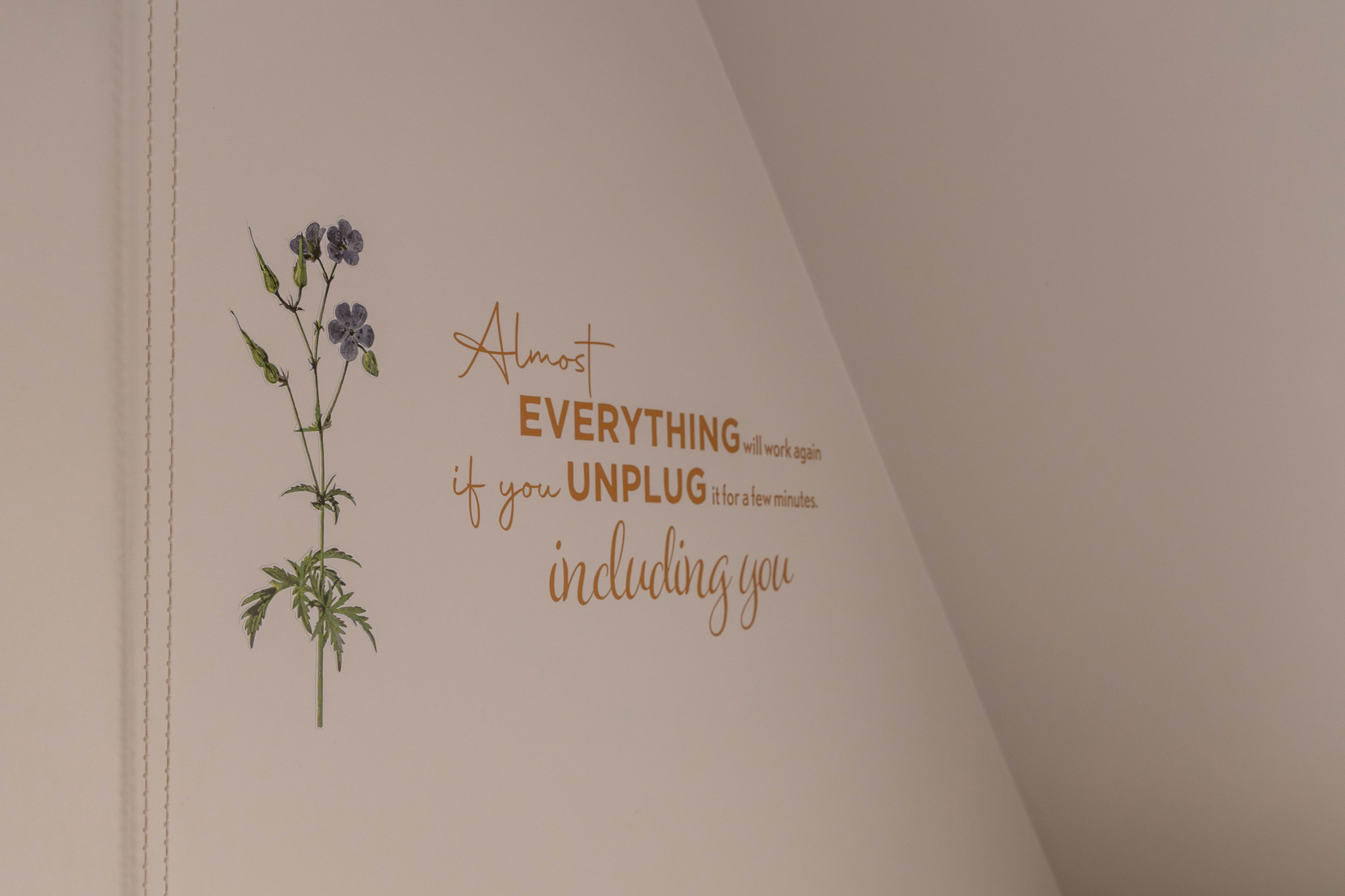 - image: 16
