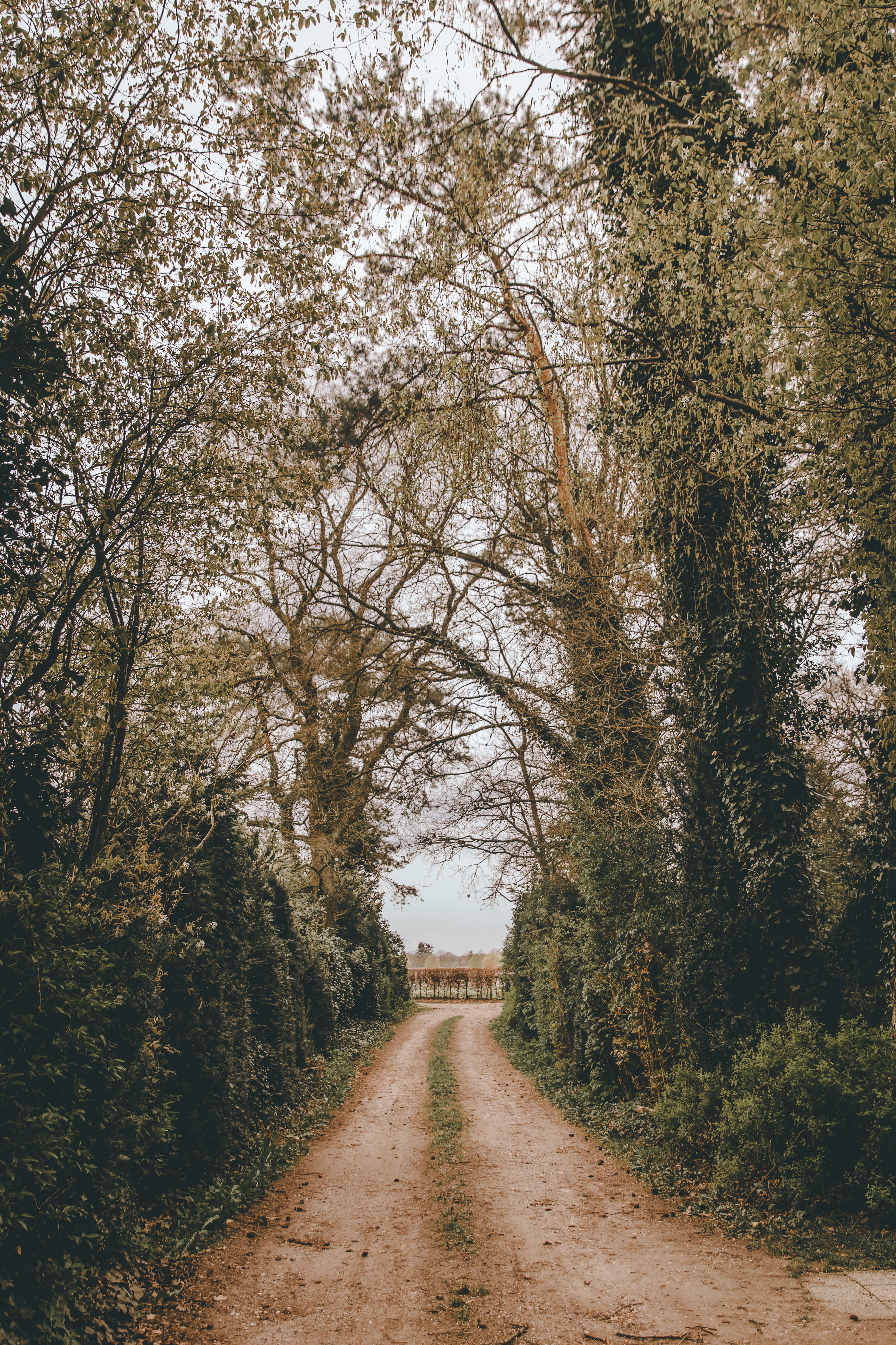 - image: 76