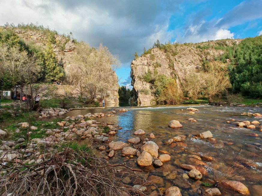 Maison nature à Serpins