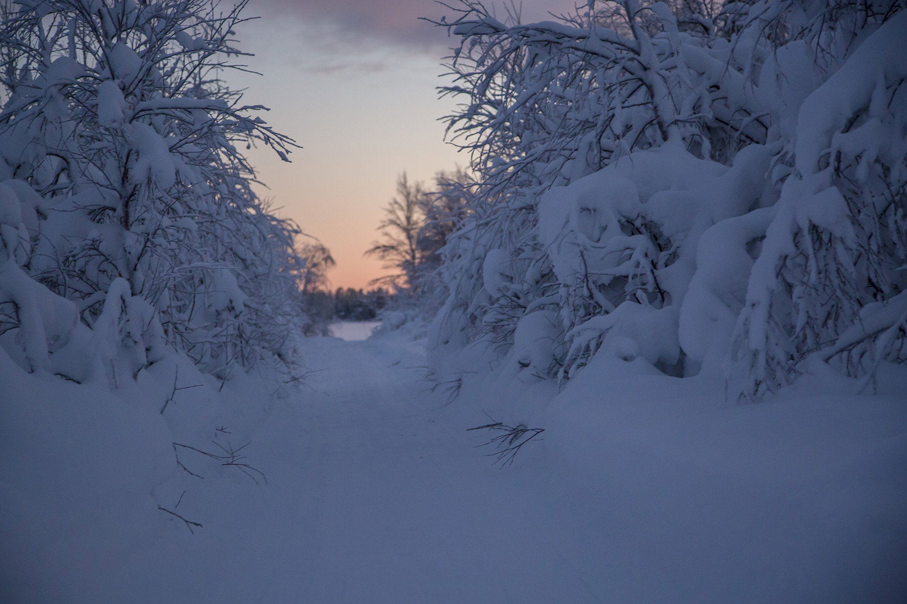 - image: 11