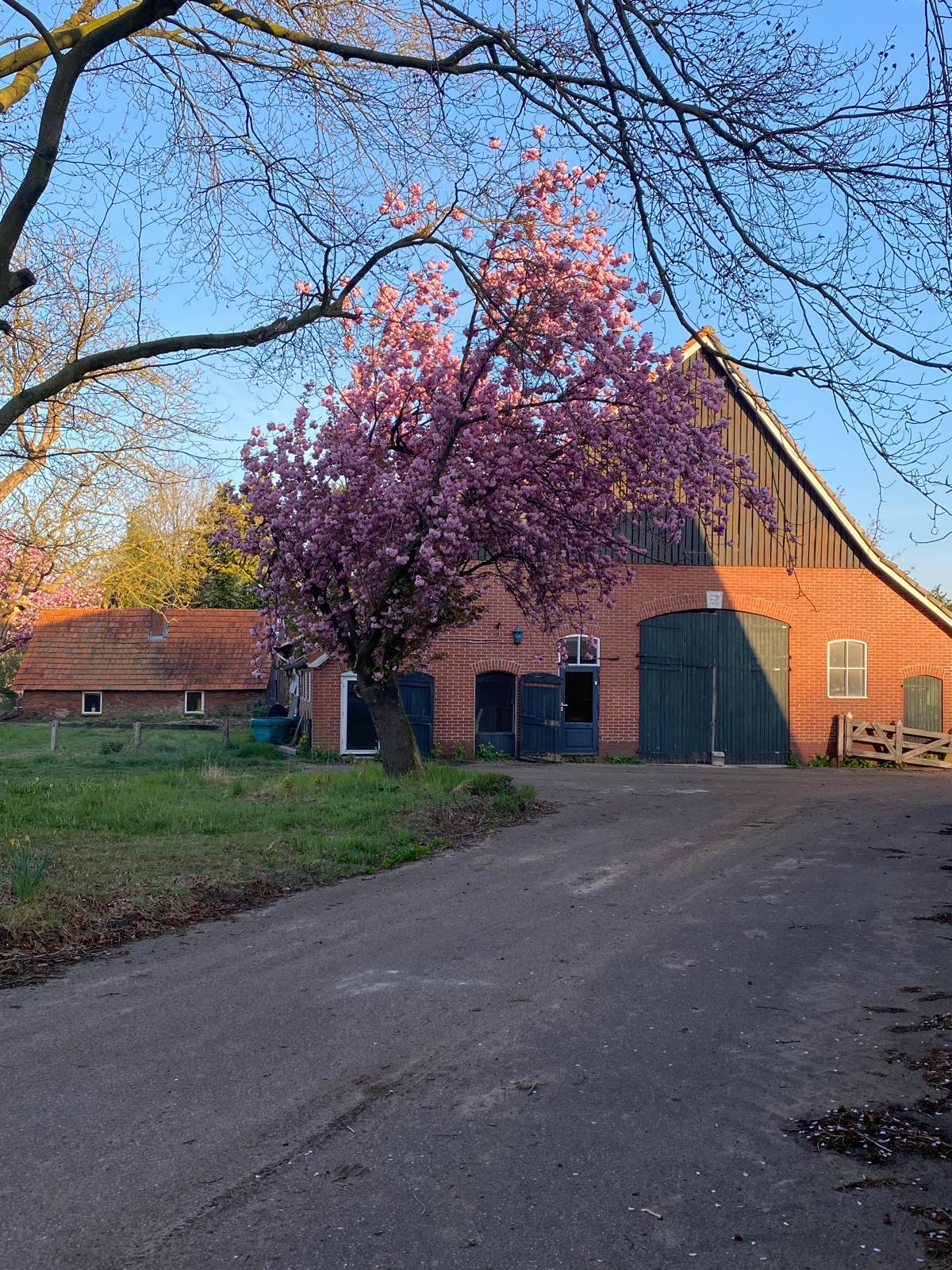 Nature house in Markelo