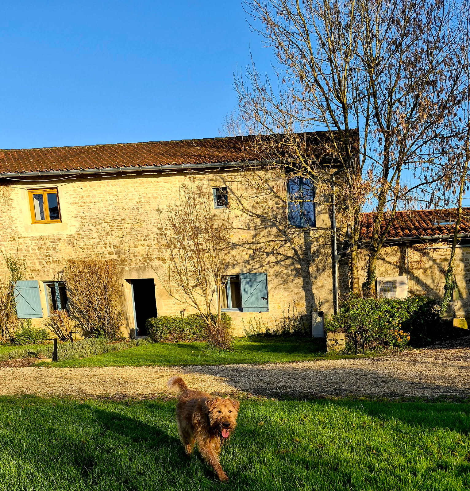 Maison nature à Mauprevoir