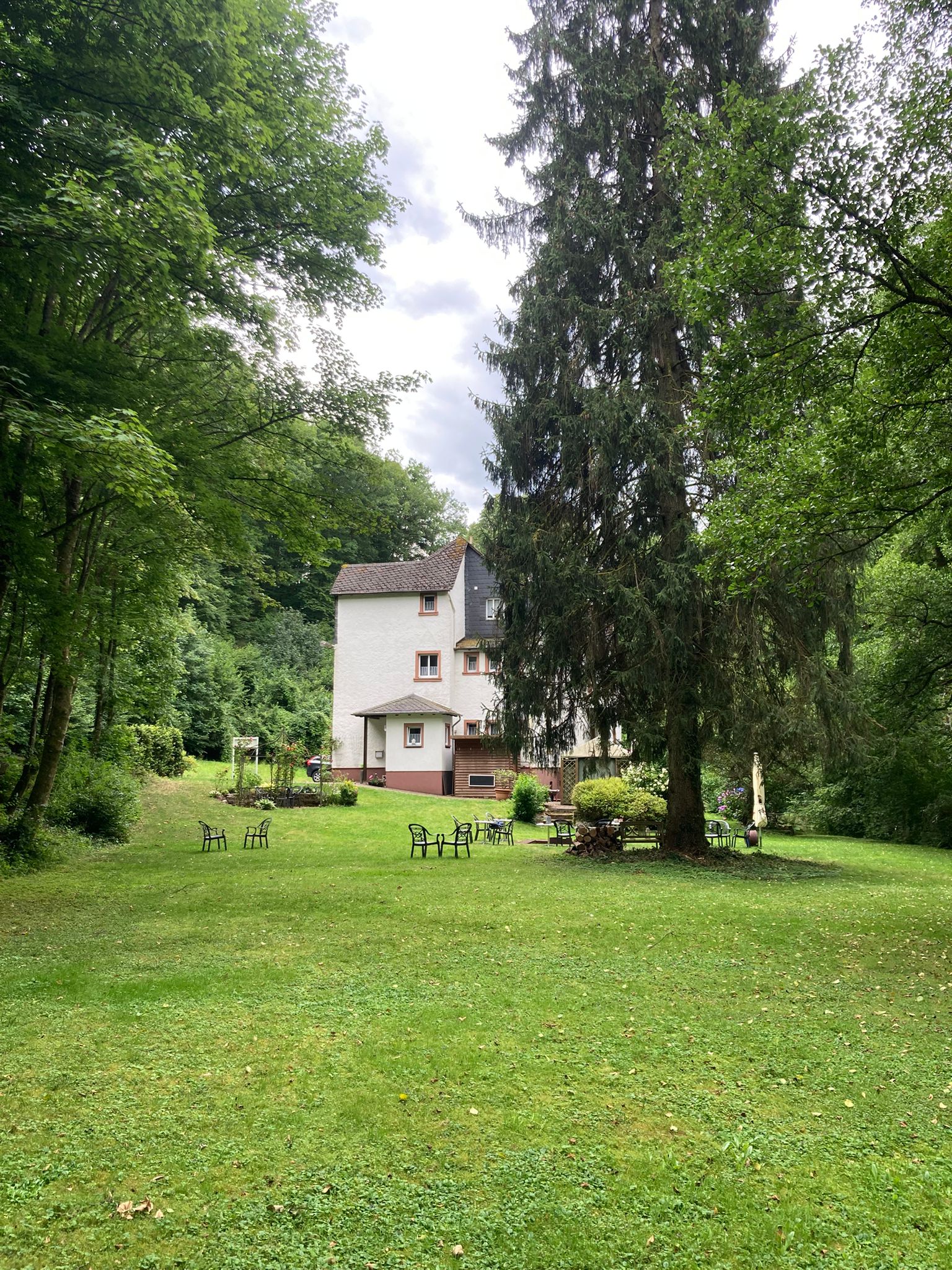 Naturhäuschen in Alf (Mosel - tussen Cochem en Berkastel-Kues)