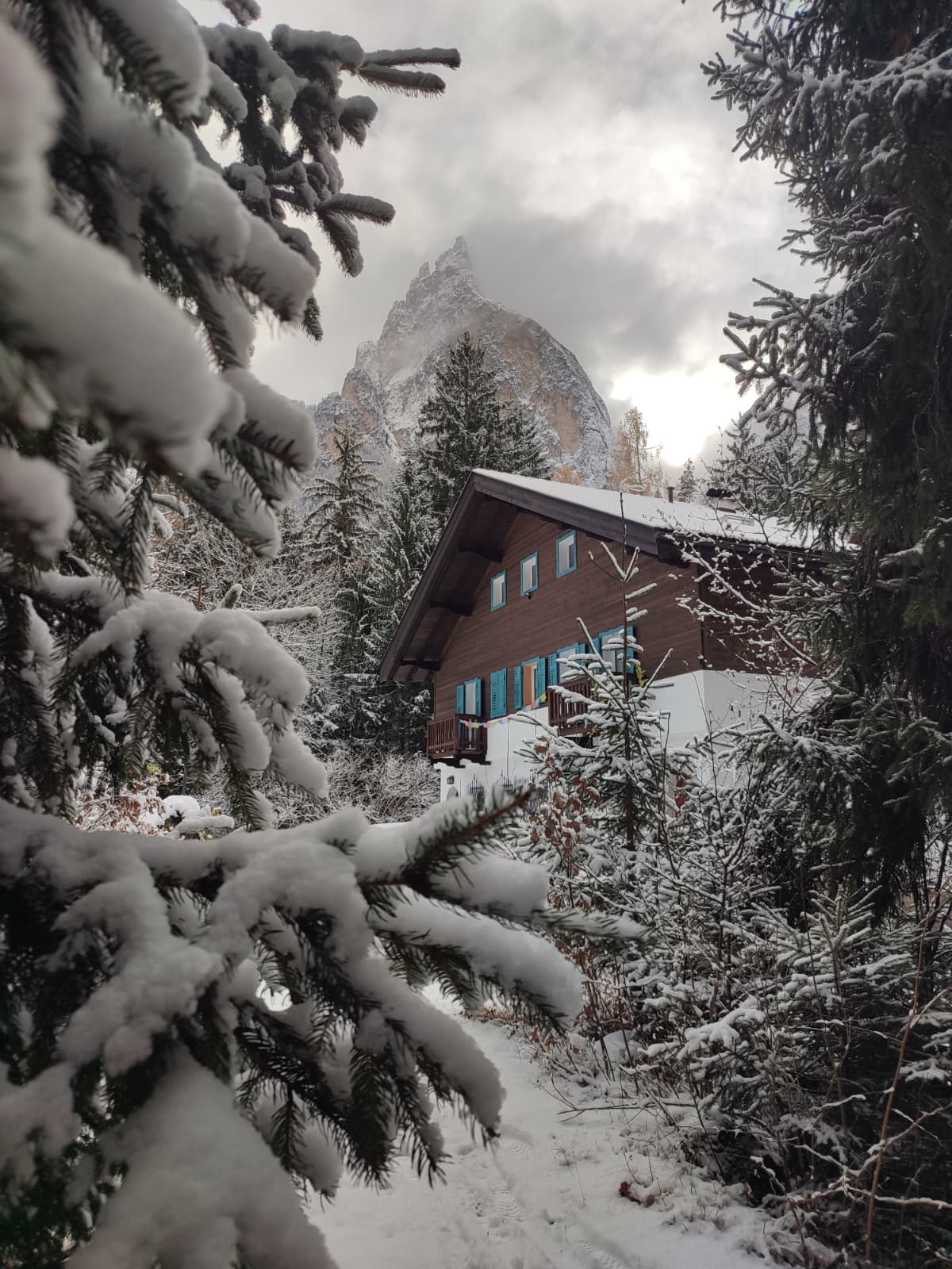 Nature house in Siusi