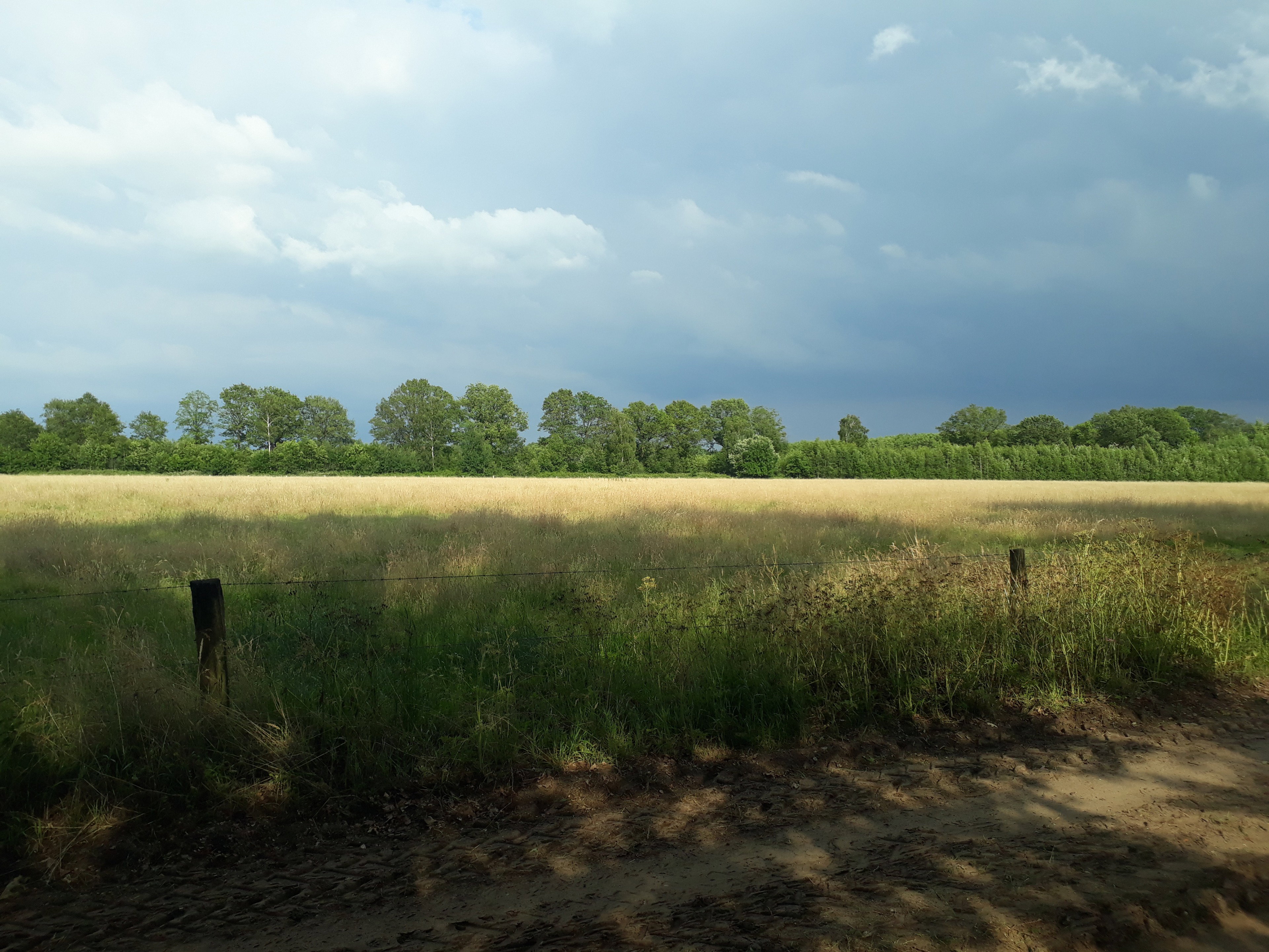 - image: 15