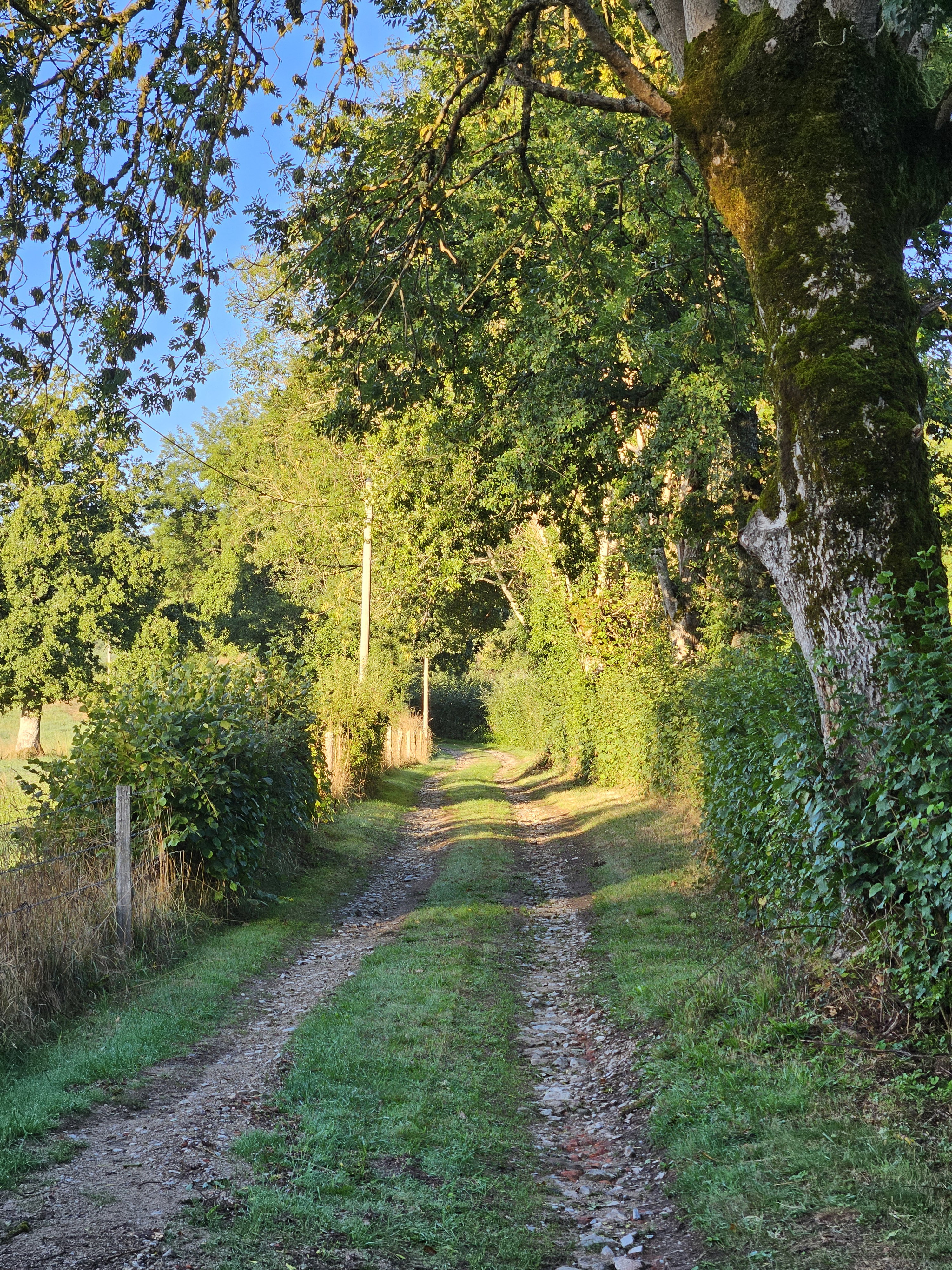 Natuurhuisje in Gouttières