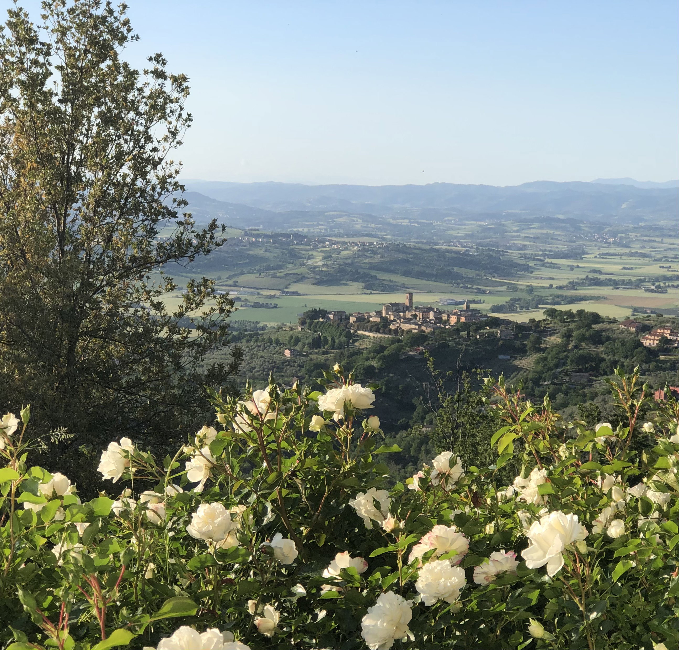 Nature house in Bettona