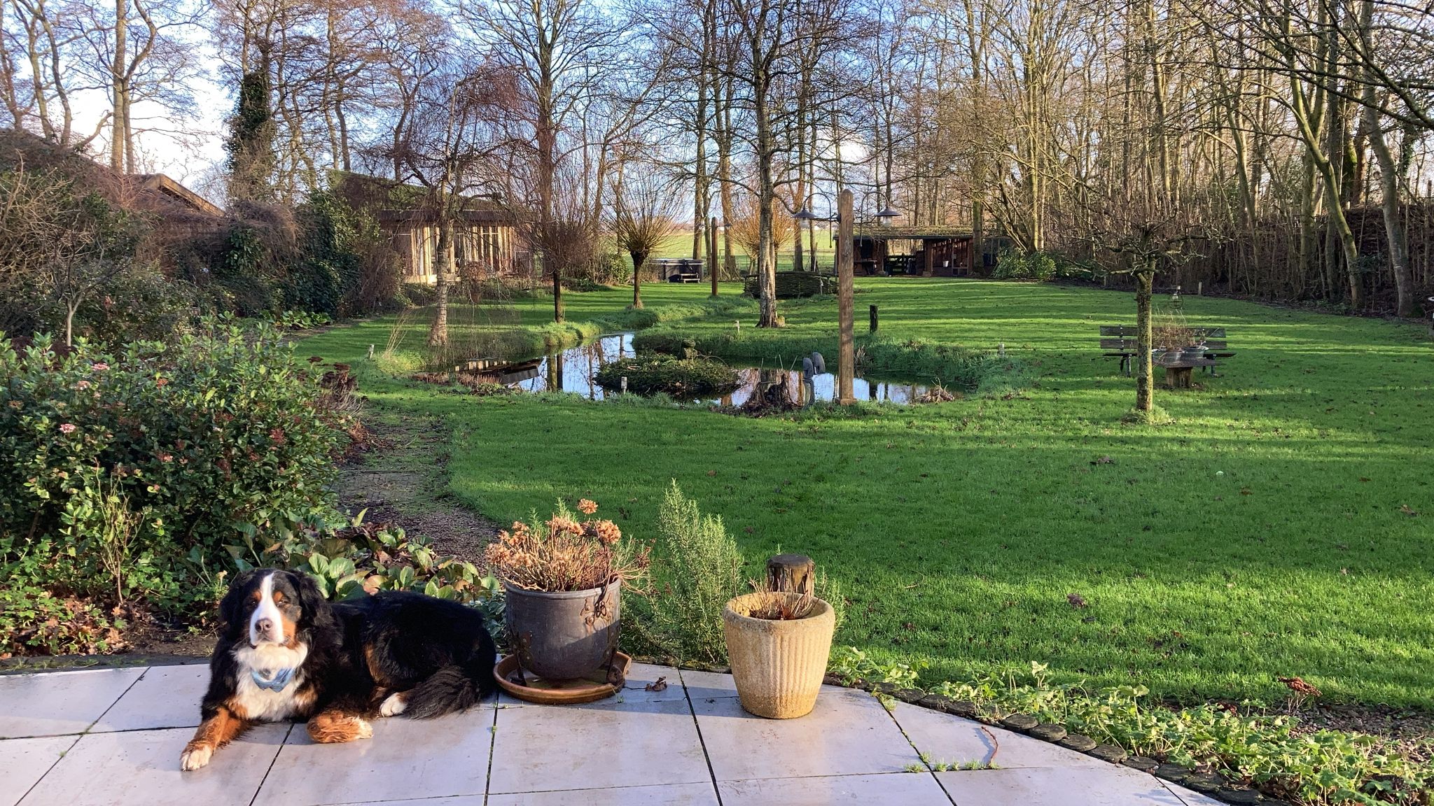 Natuurhuisje in Bergen nh