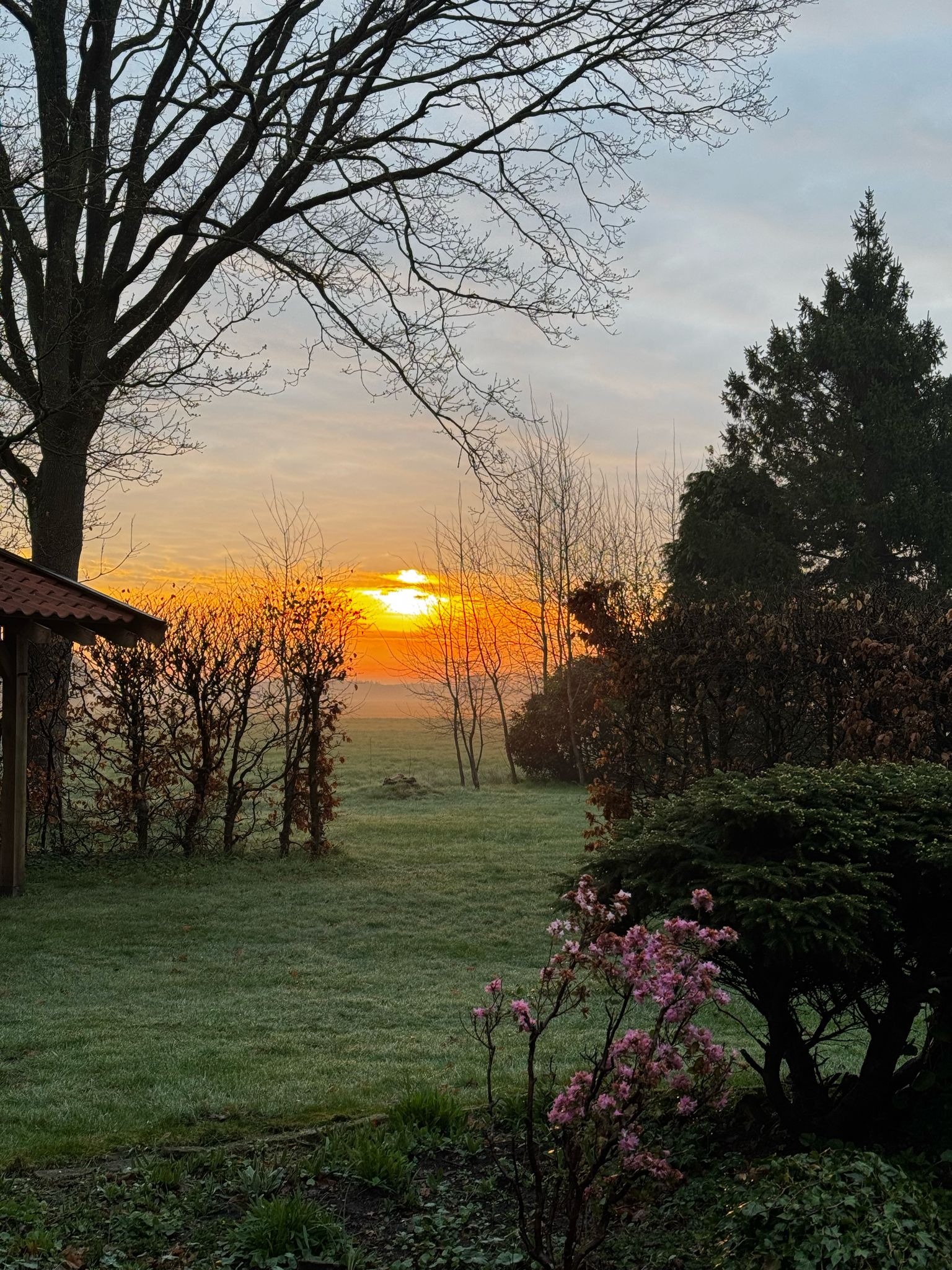 Natuurhuisje in Zandhuizen