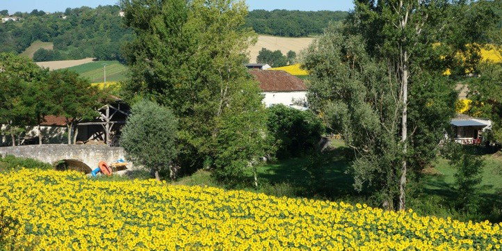 Natuurhuisje in Touffailes