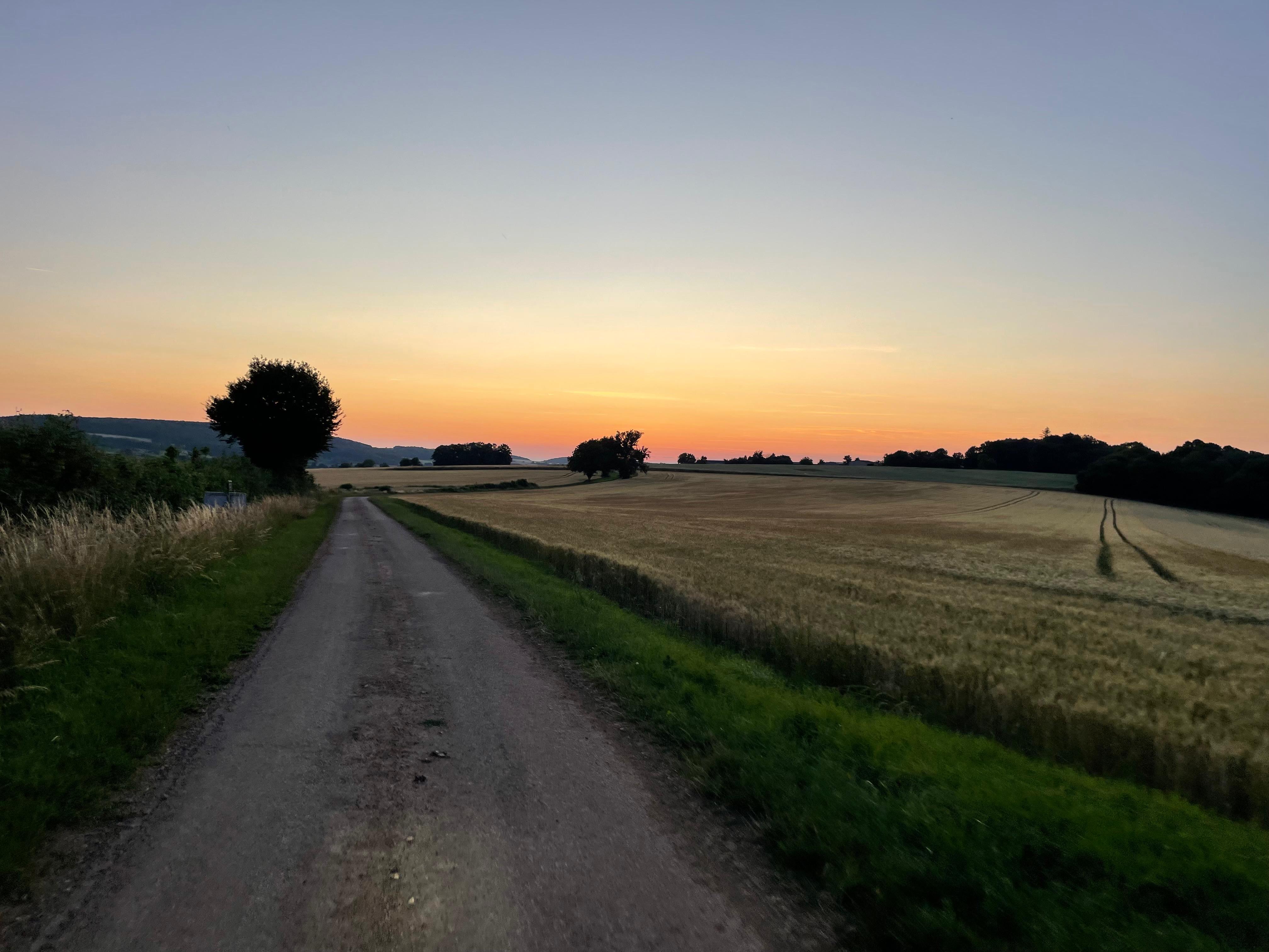 - image: 23